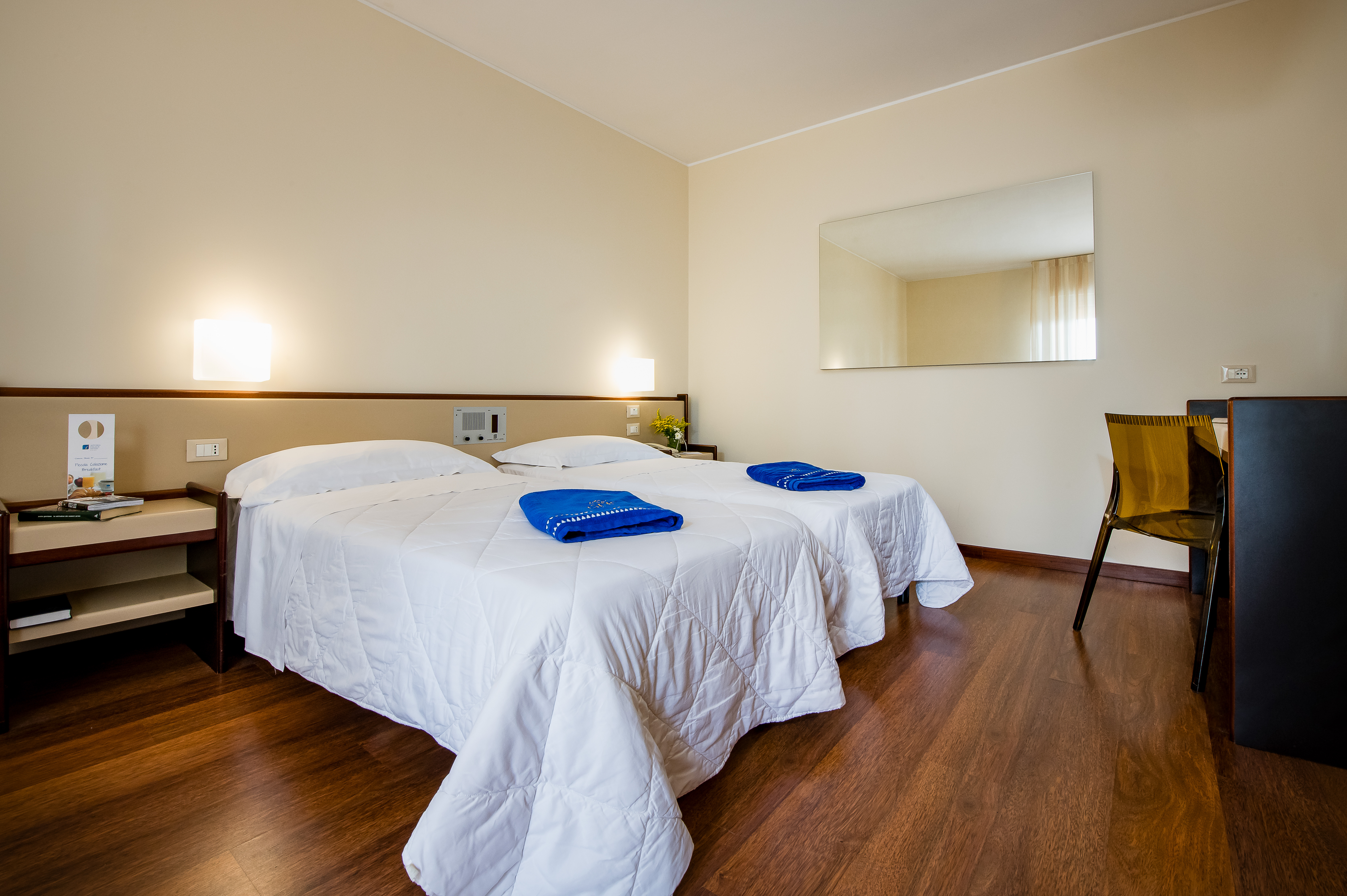 Double or Twin Standard