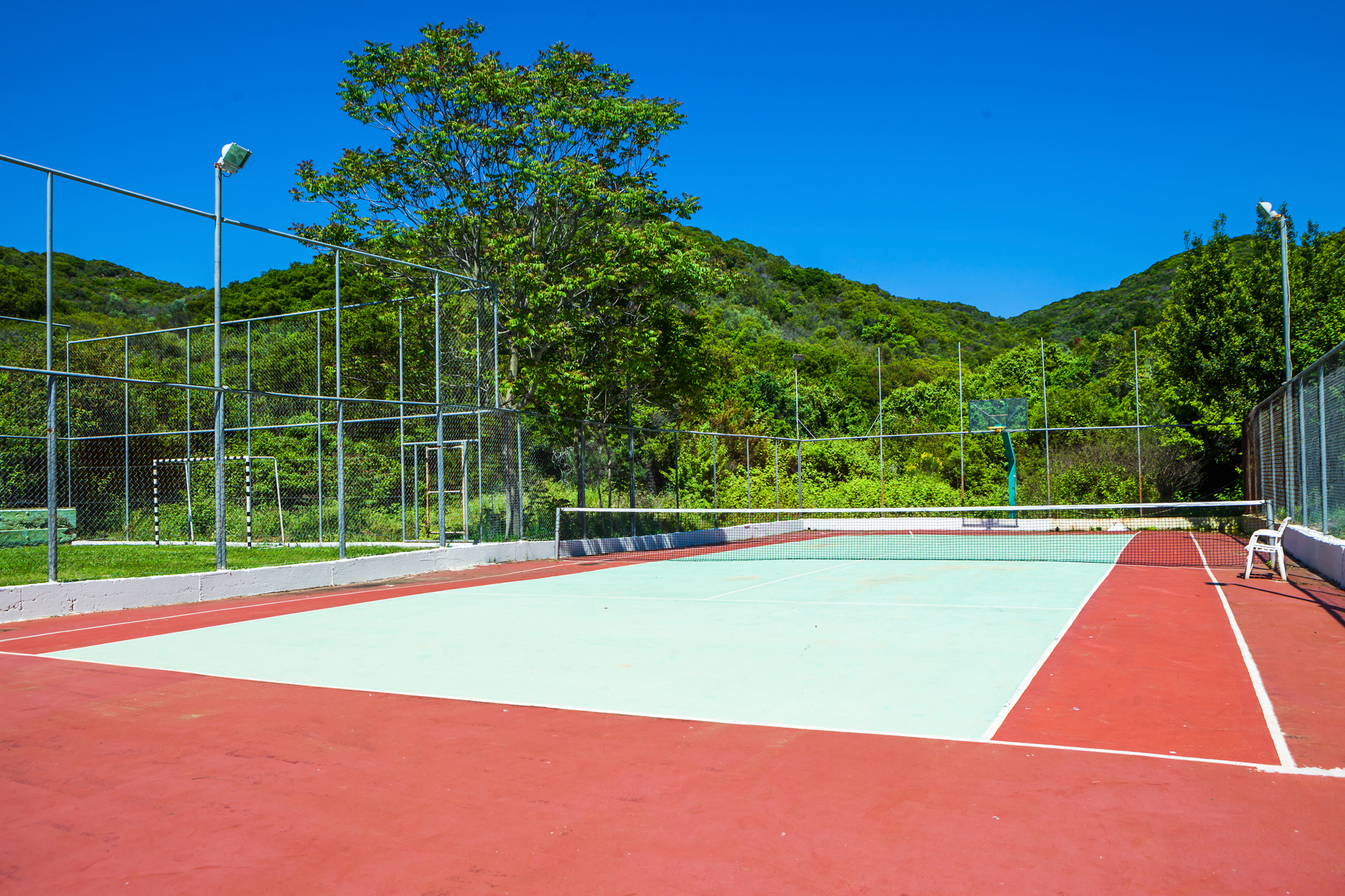 Sports and Entertainment