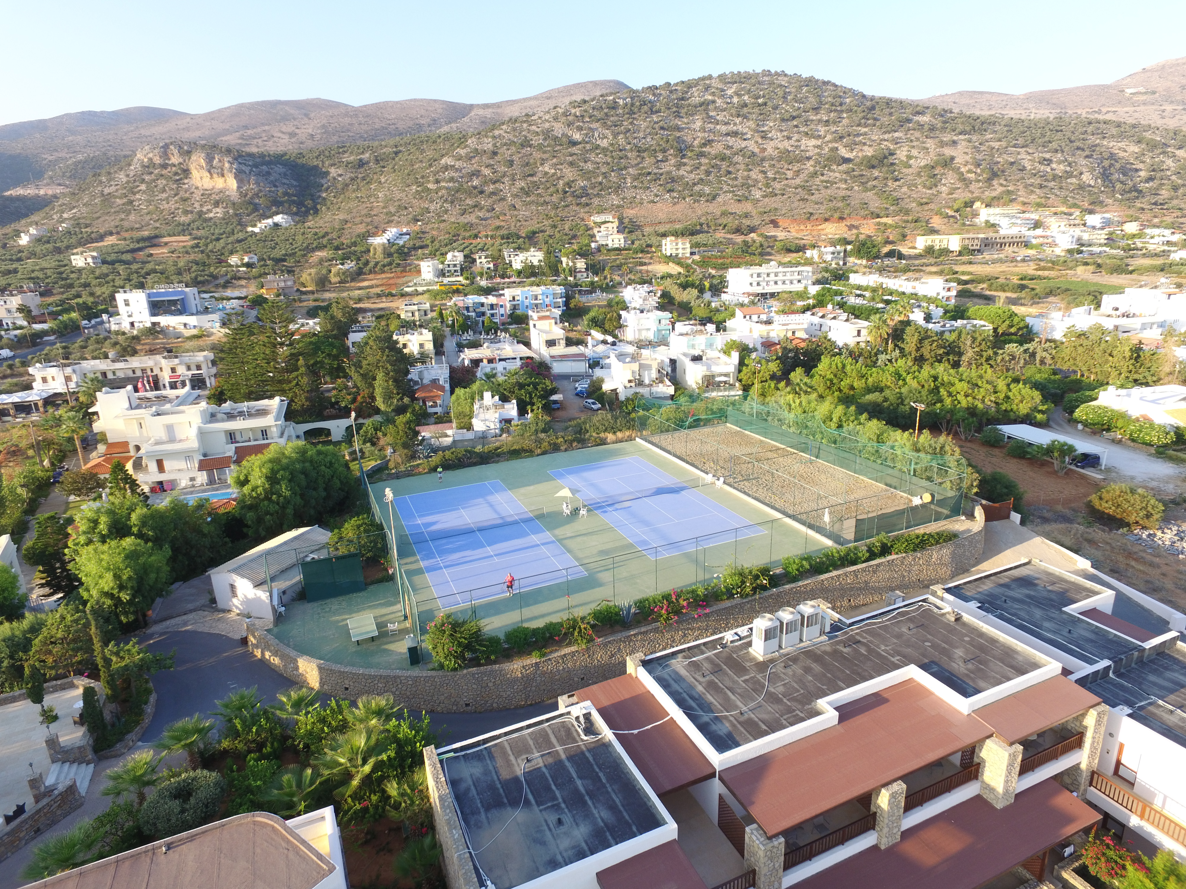 Sports and Entertainment