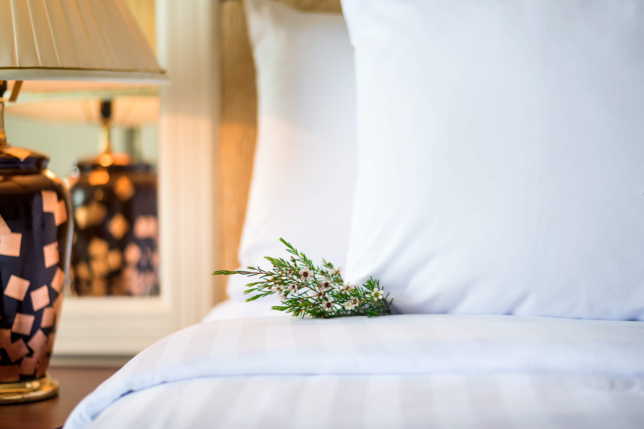 Double or Twin Superior