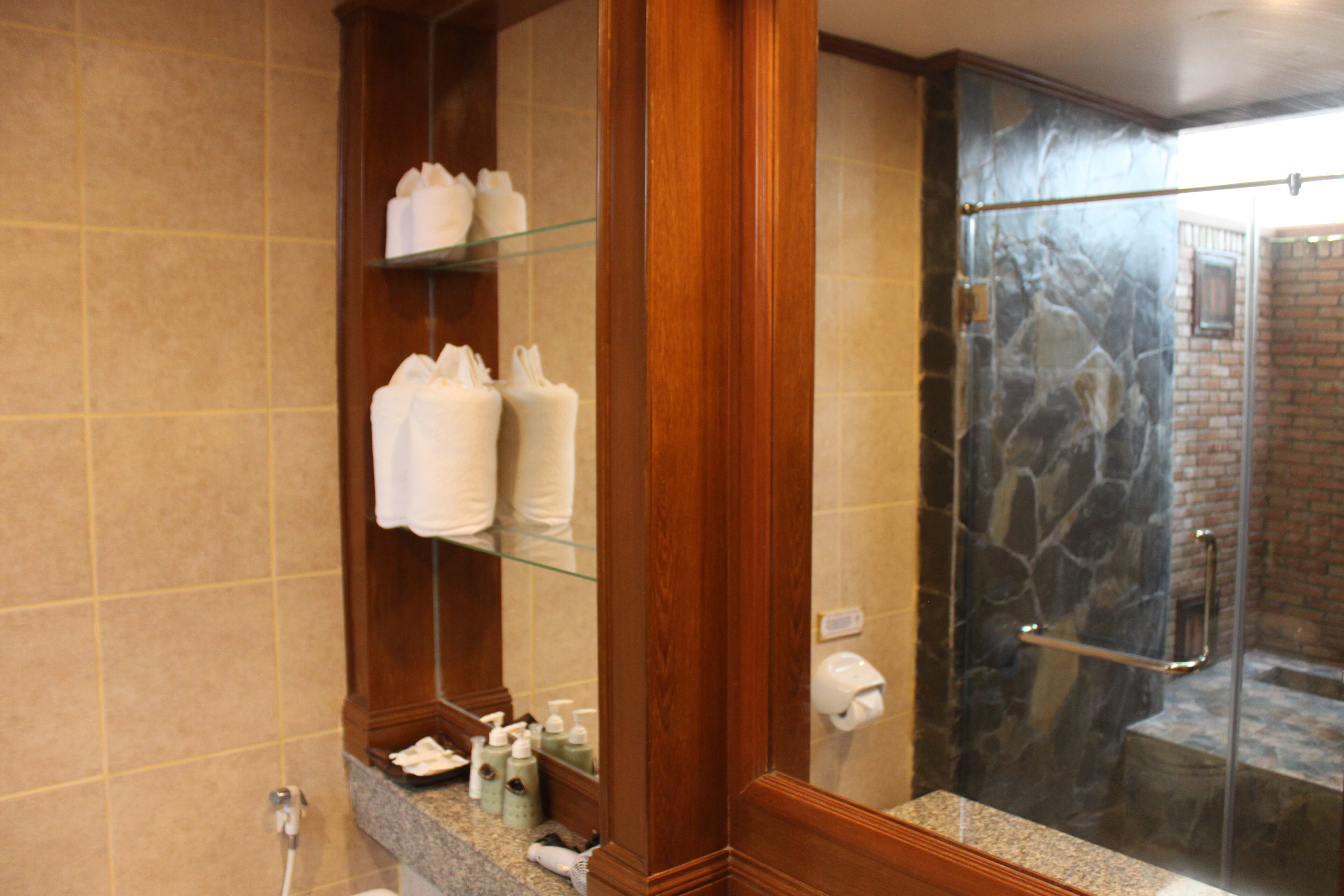 Double or Twin Deluxe Mountain View