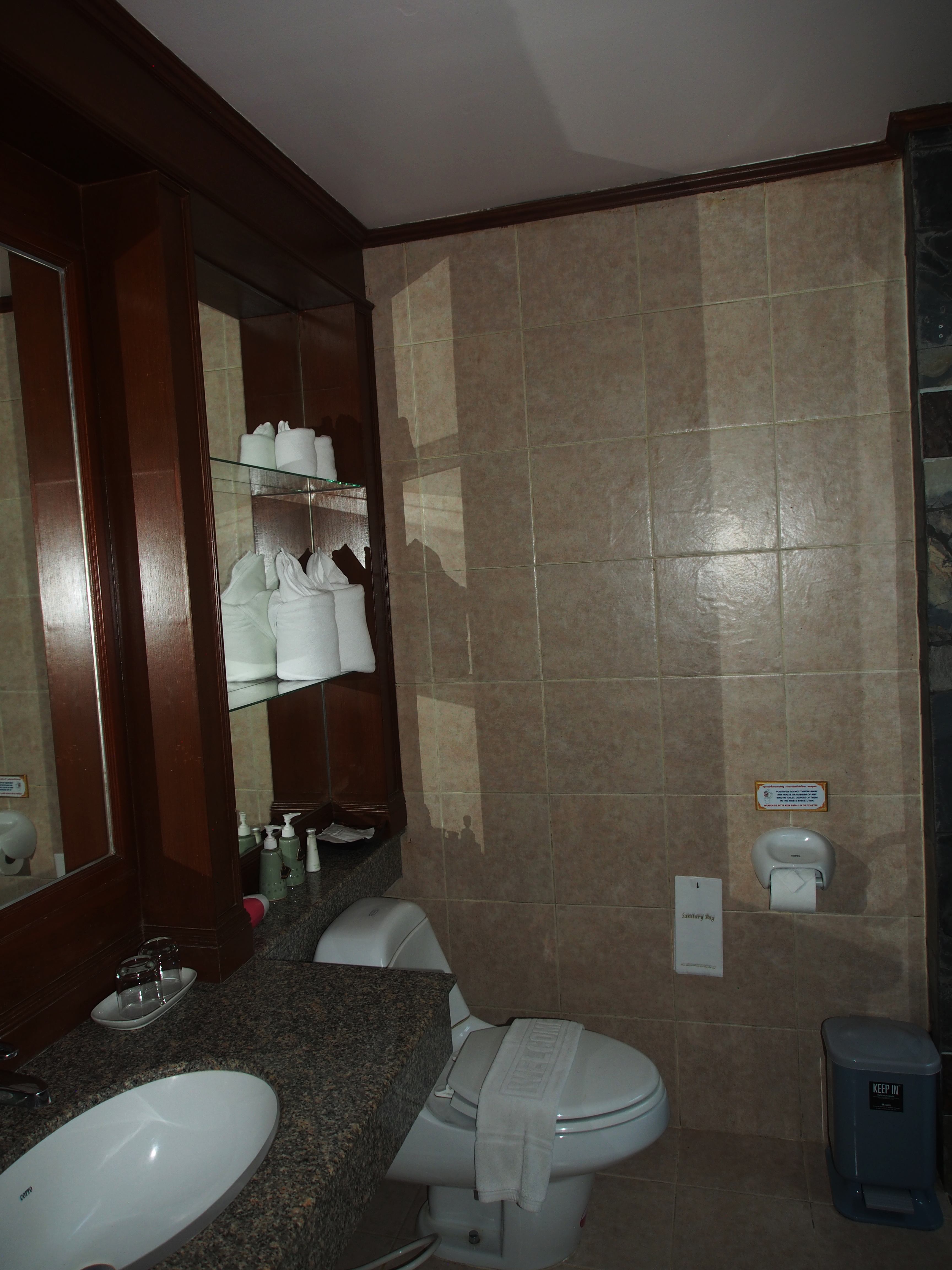 Double or Twin Deluxe Mountain View