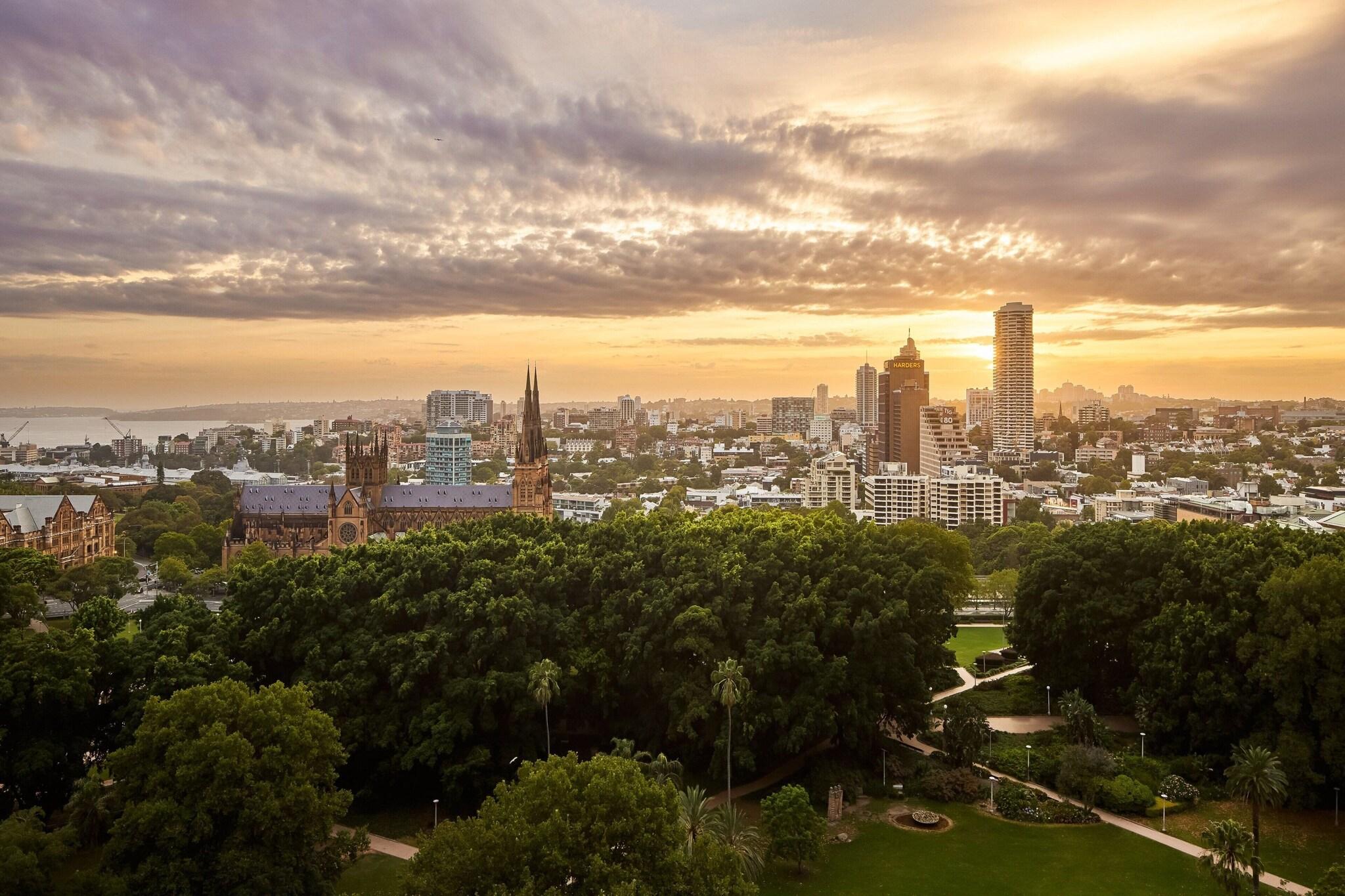 Suite King Bed Non Smoking