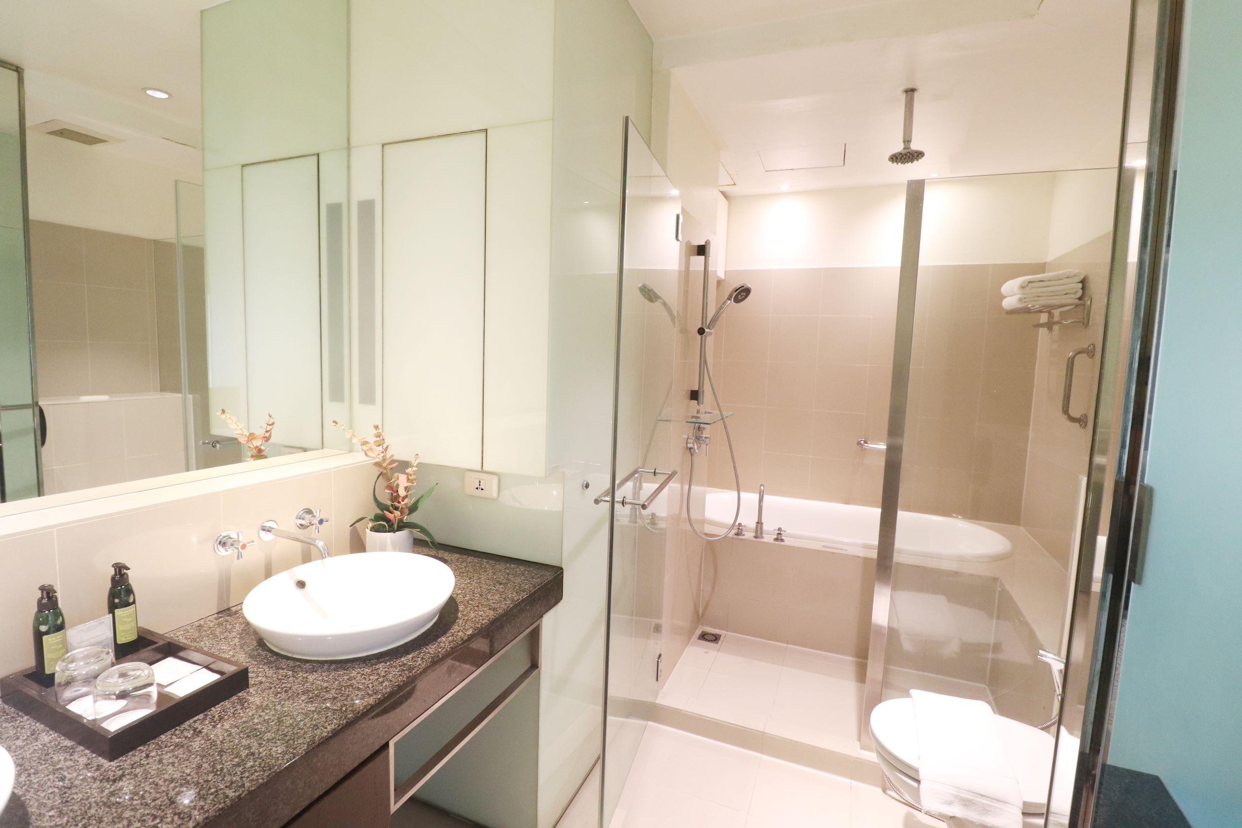 Suite Deluxe One Bedroom