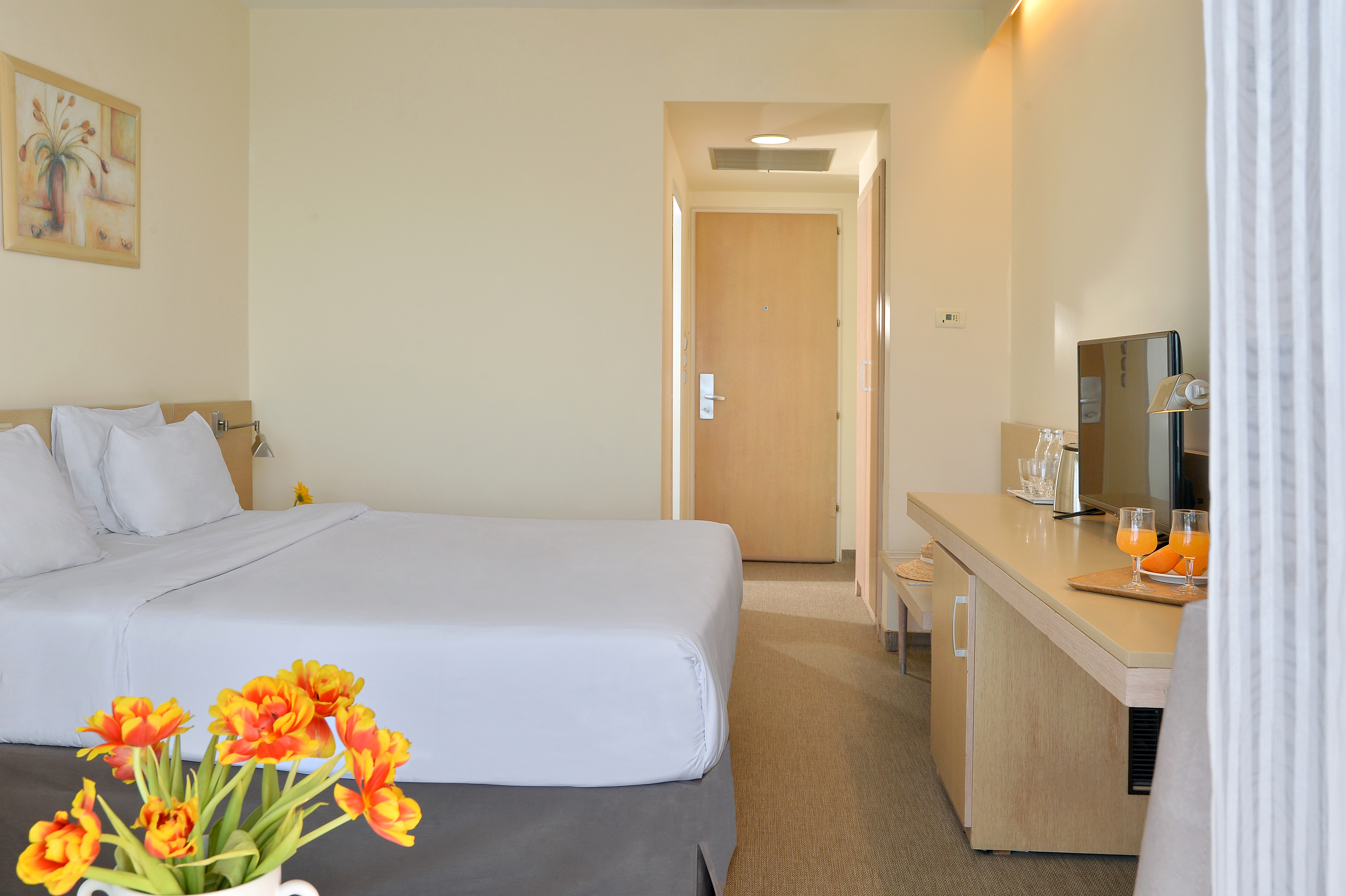 Double or Twin Mountain View