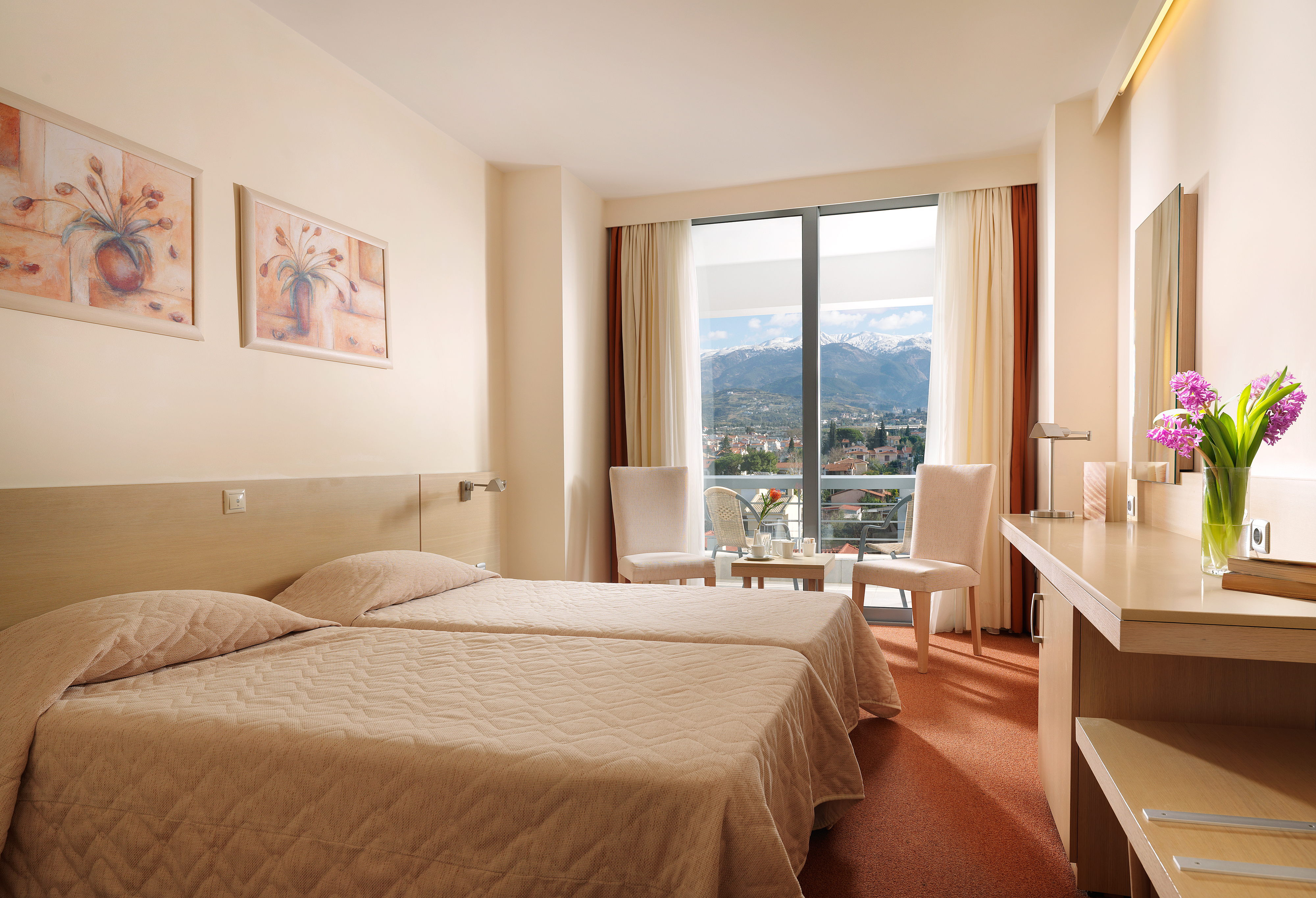 Double or Twin Mountain View