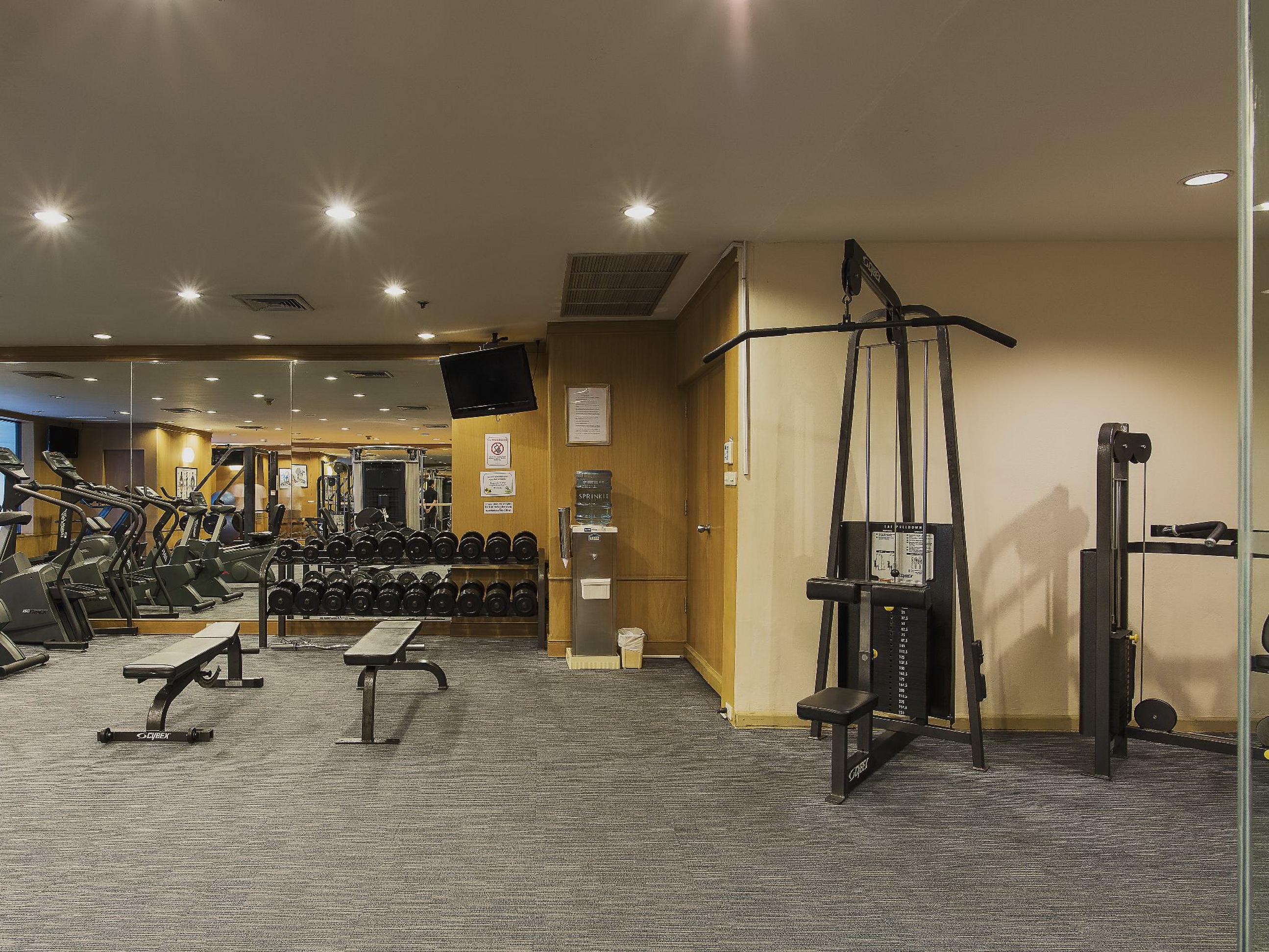 Sports and Entertainment