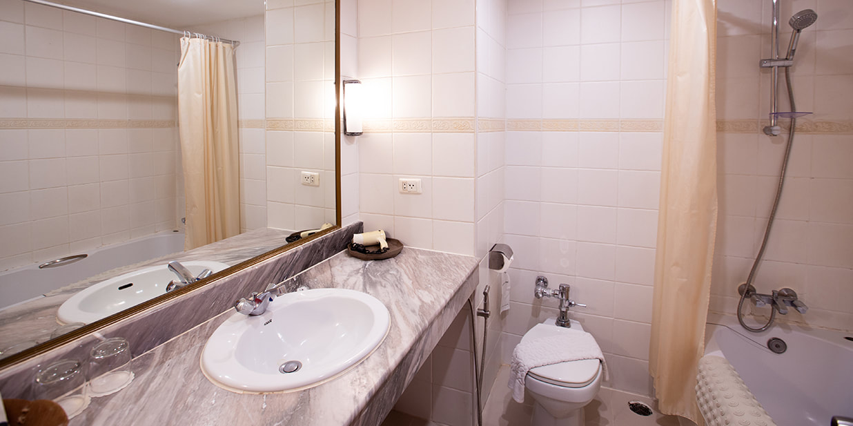 Double or Twin Executive