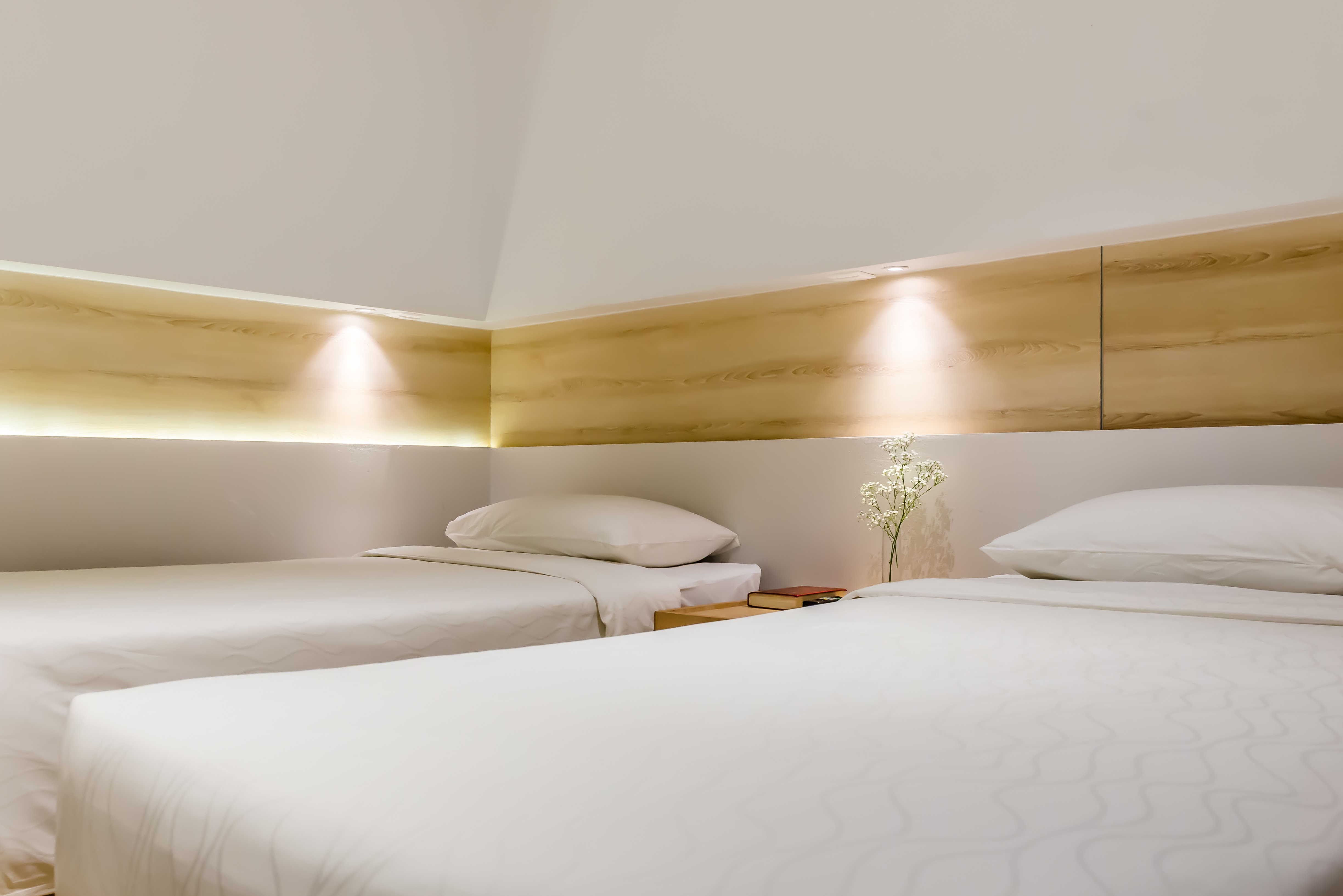 Double or Twin Superior