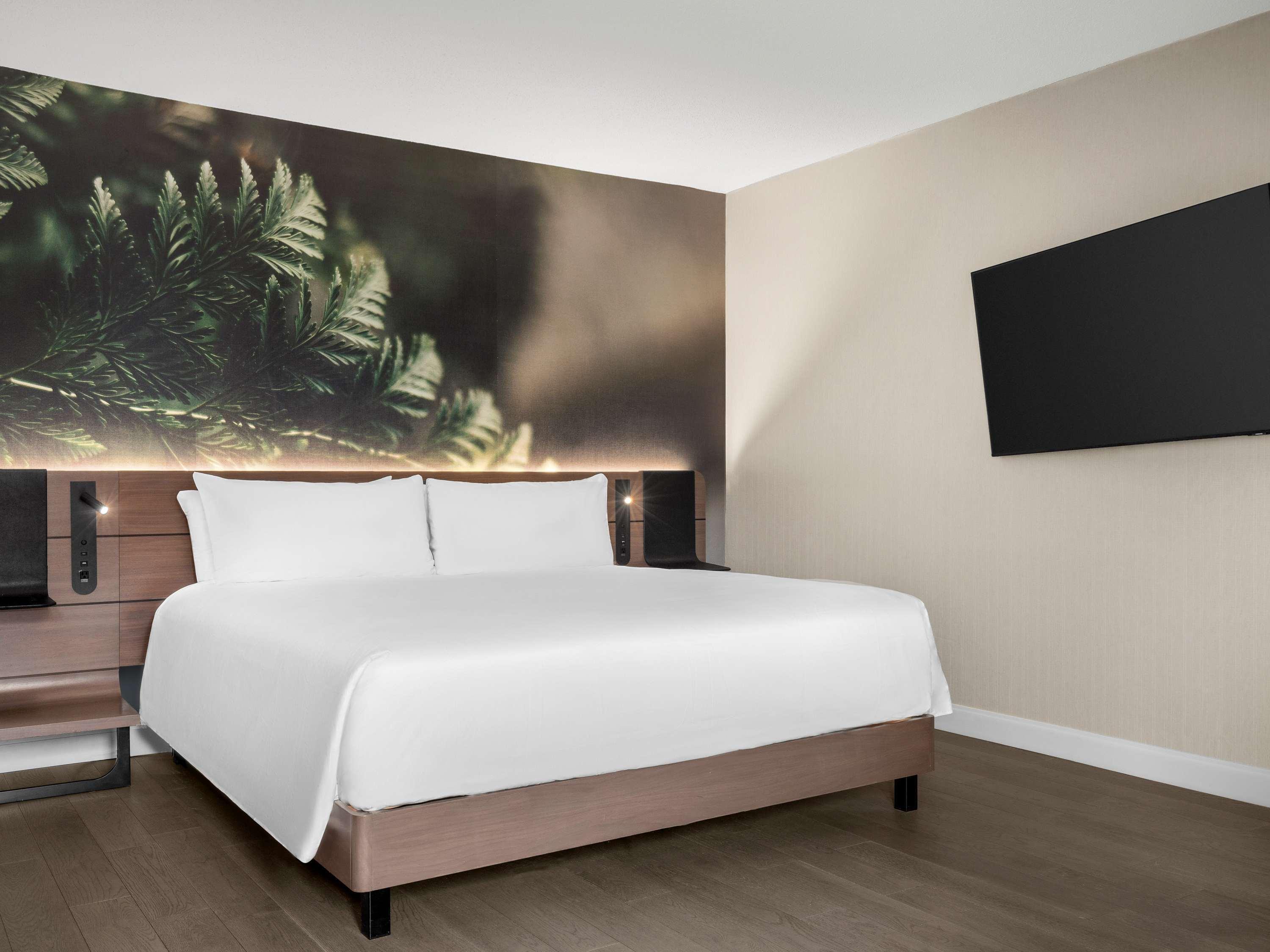 Junior Suite Executive