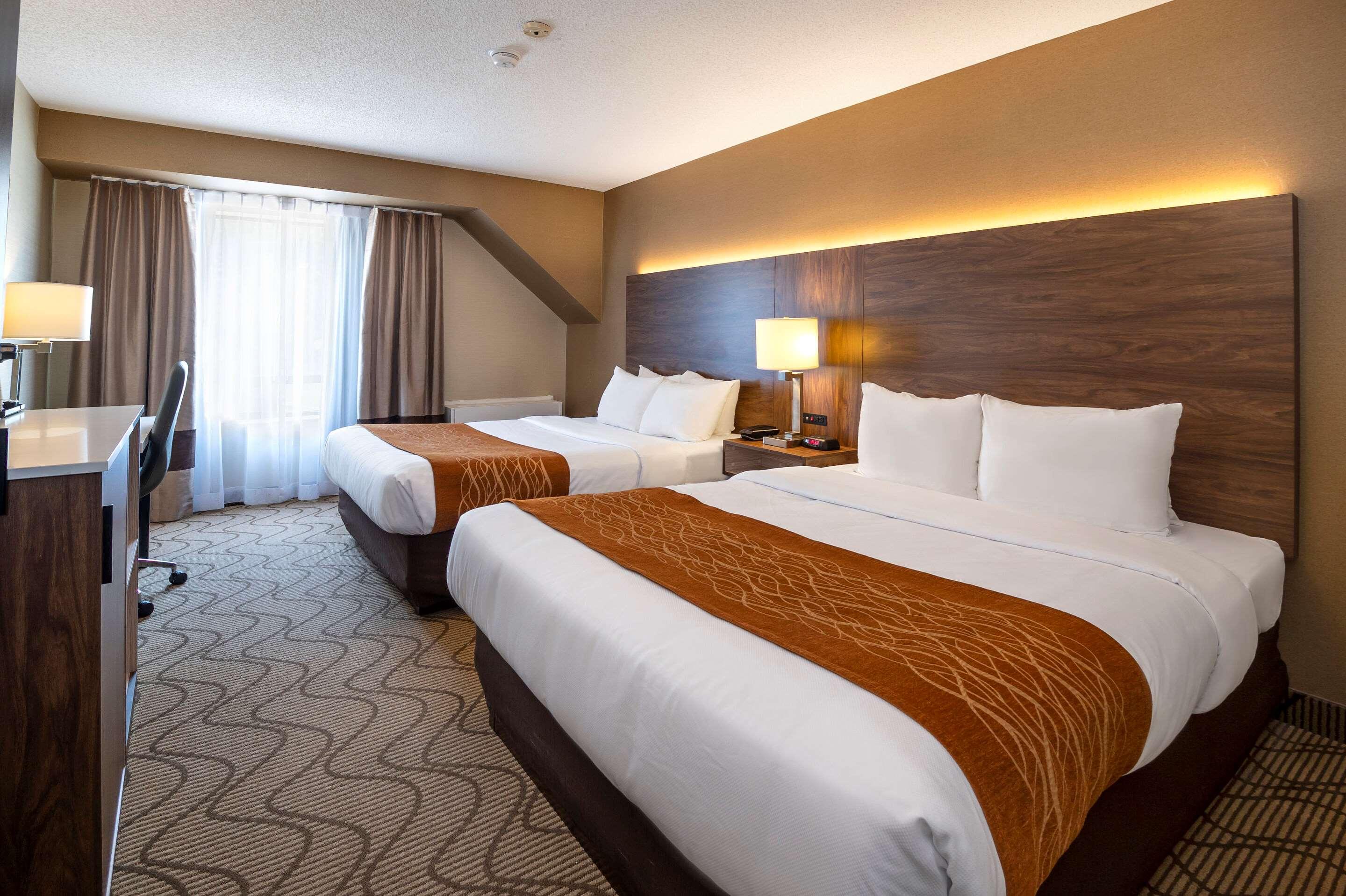 Quadruple Two Queen Beds