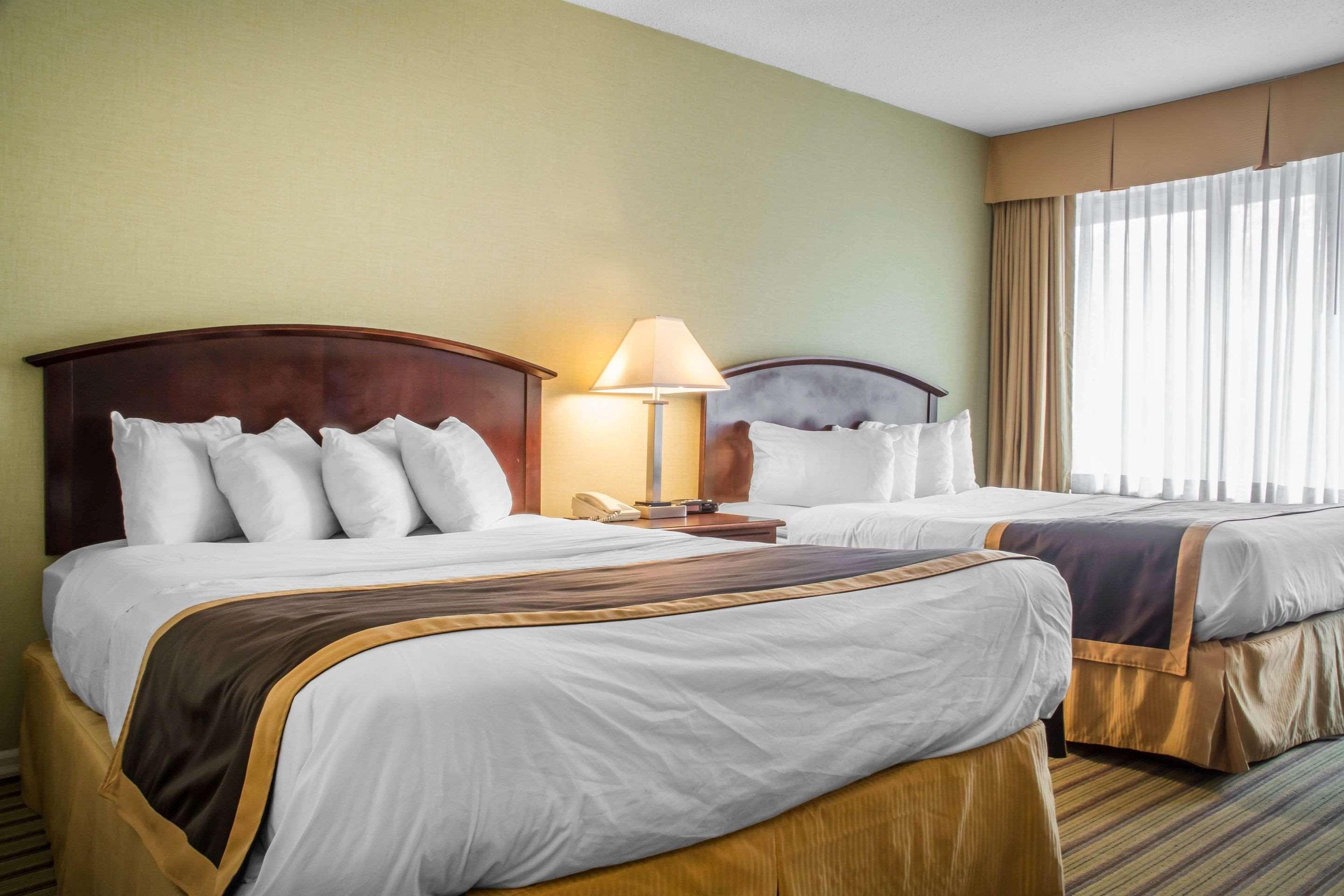 Double Two Queen Beds