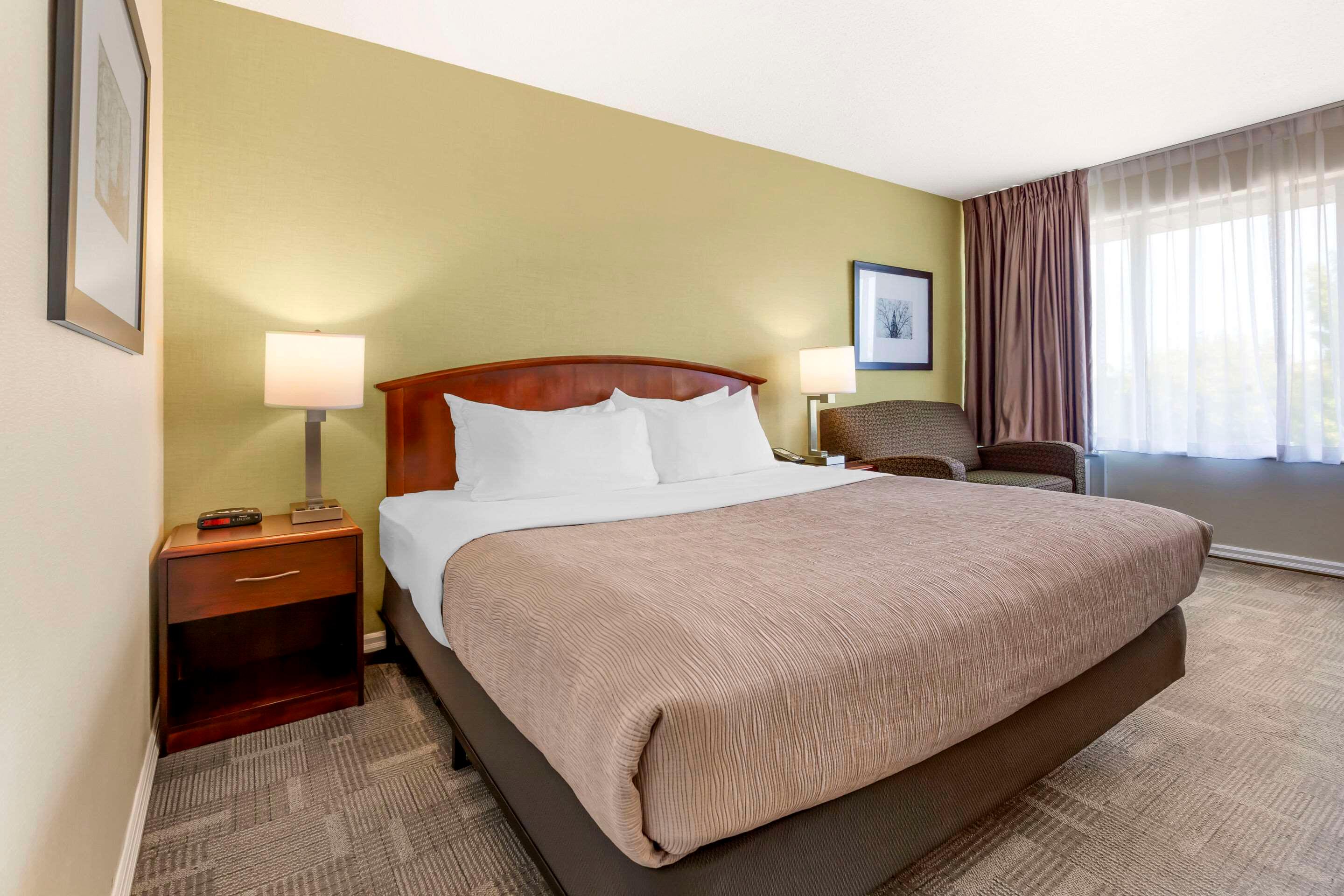 Double King Bed Non Smoking