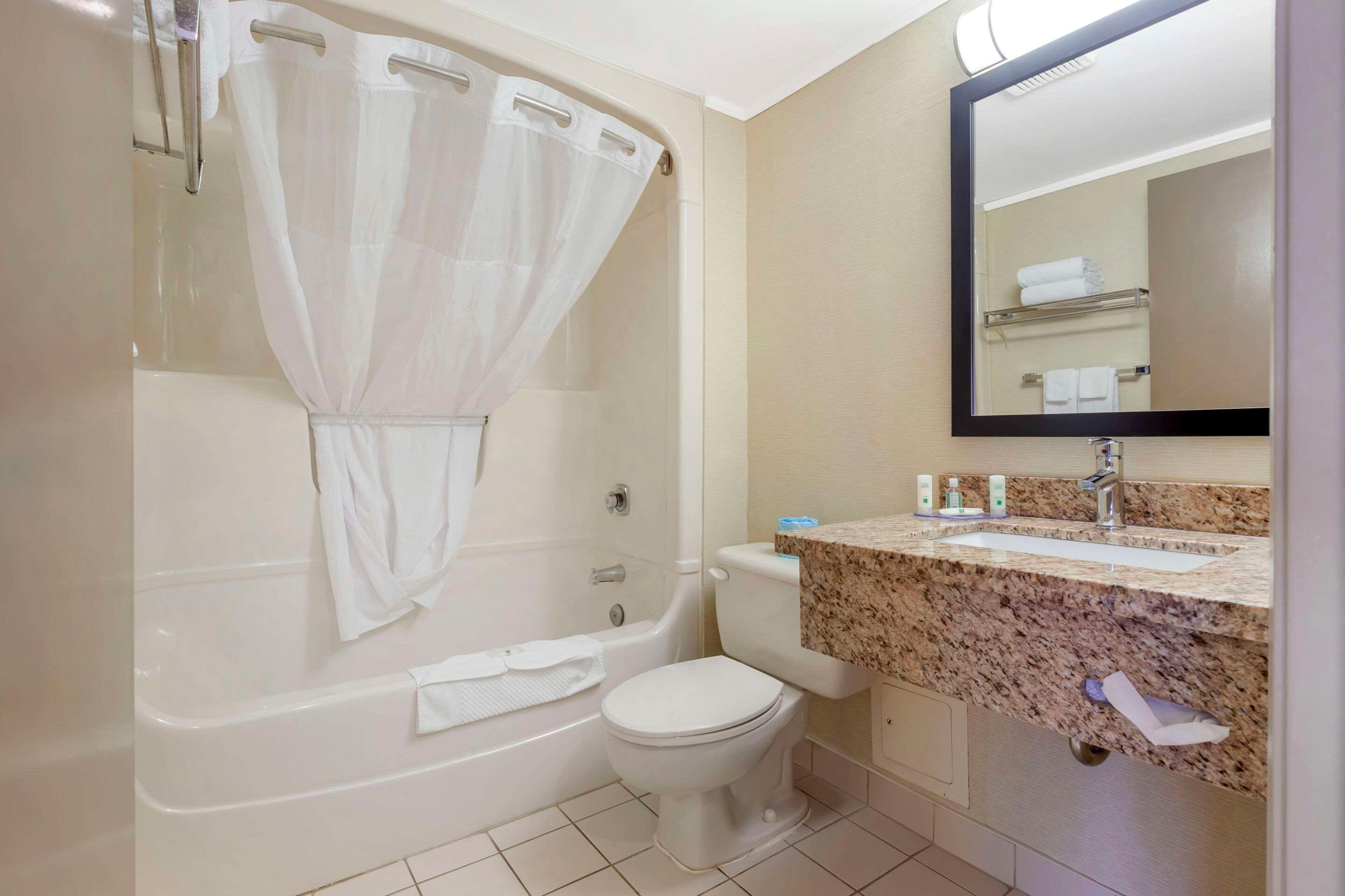 Suite King Bed Non Smoking