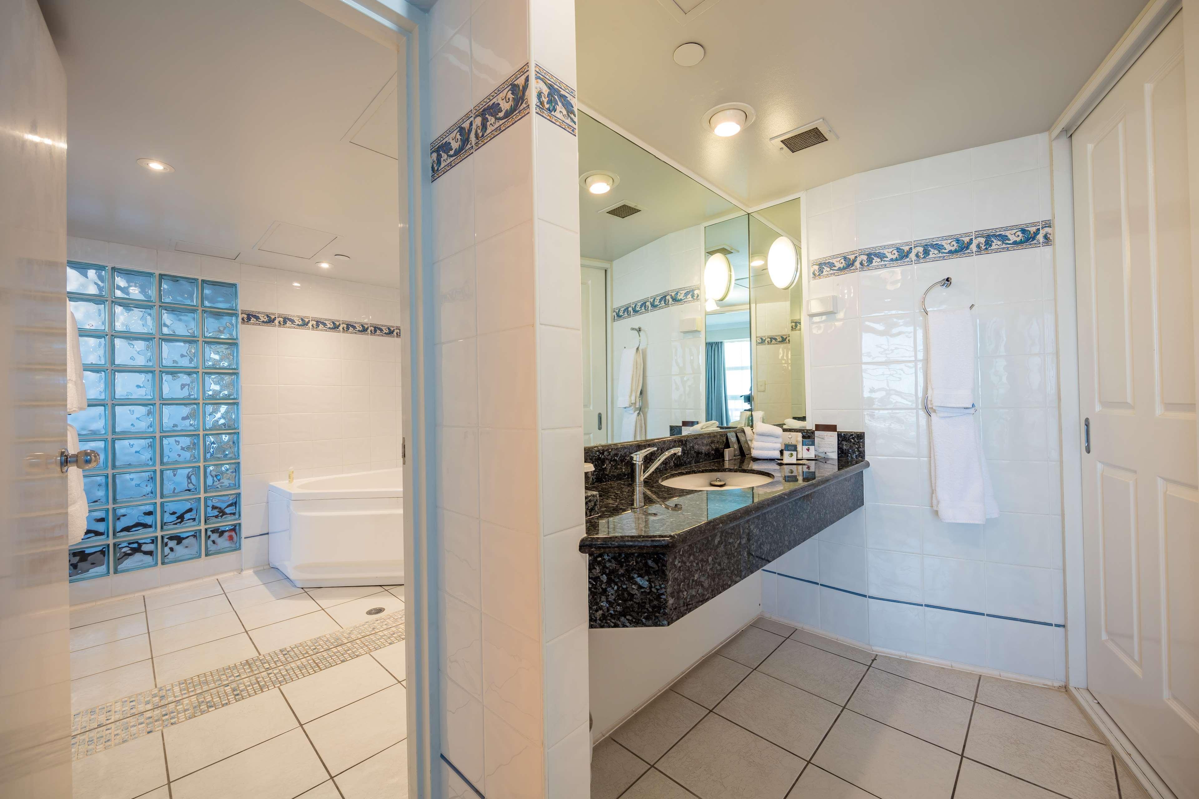 Suite King Bed One Bedroom 