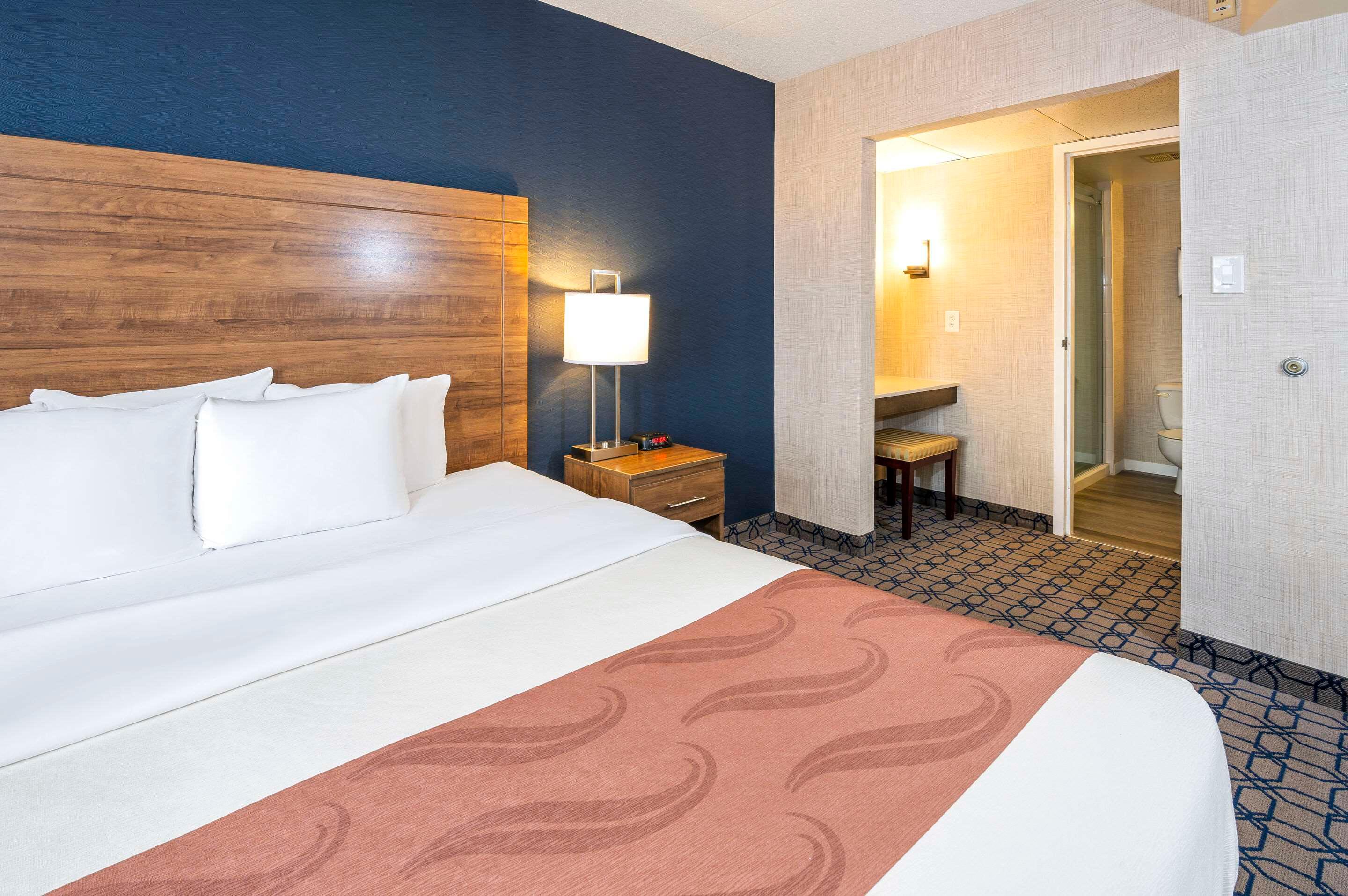 Suite King Bed Non Smoking