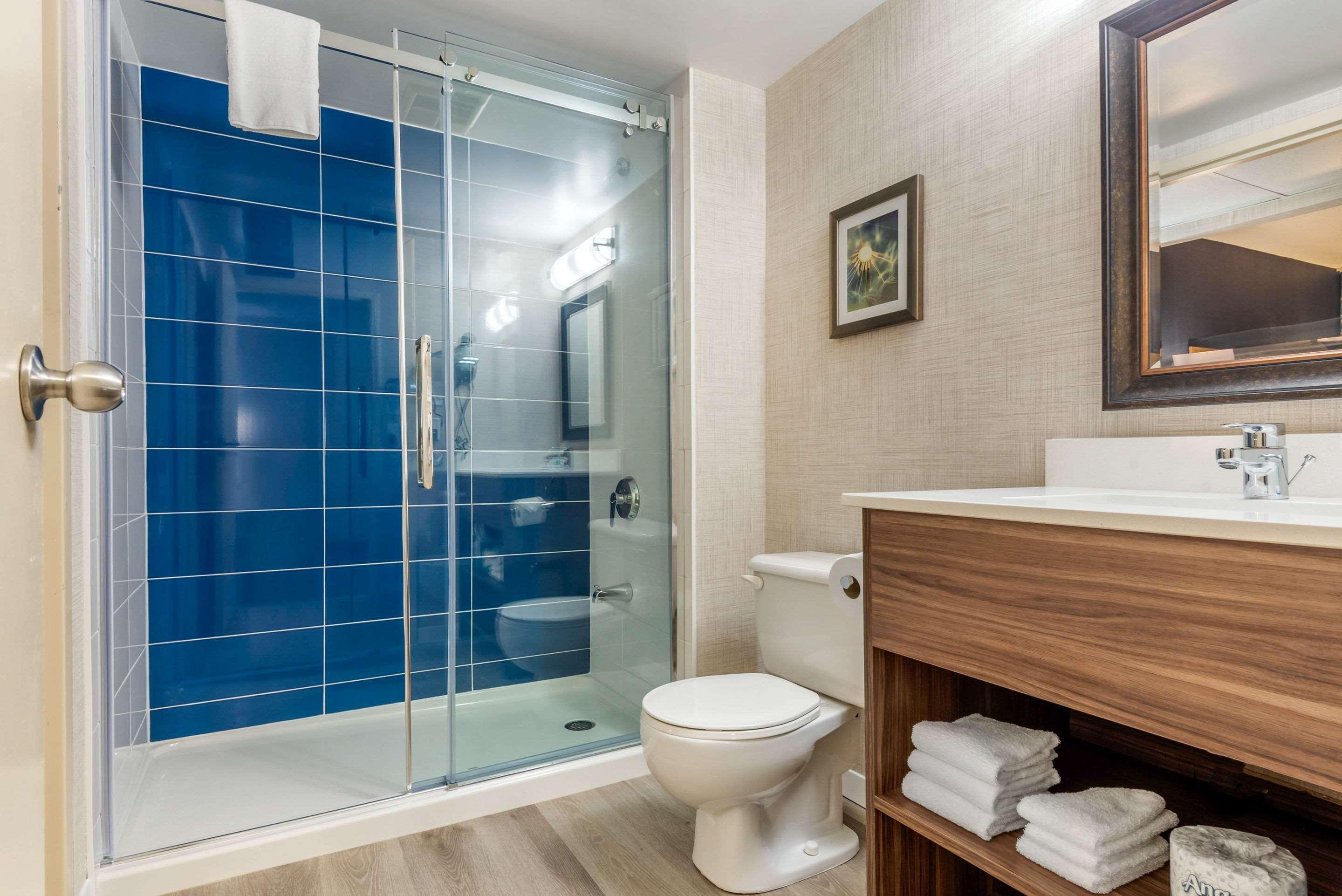 Suite King Bed Non Smoking