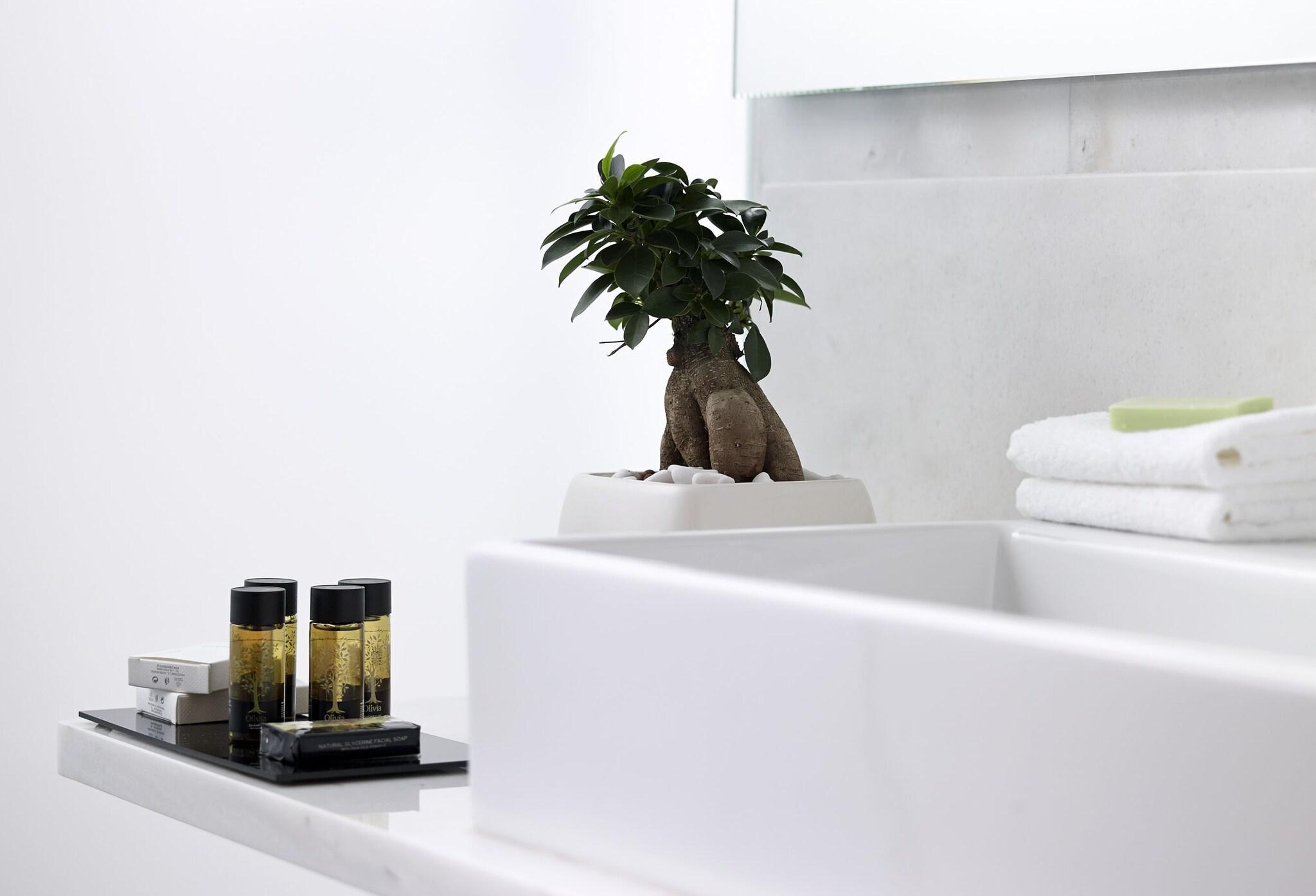 Double Queen Size Bed