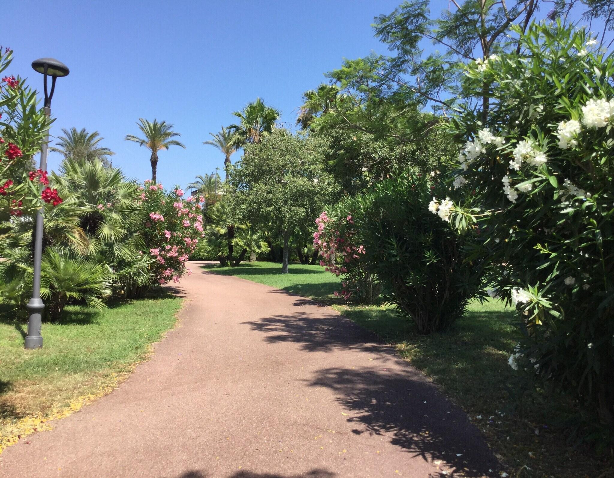 Double or Twin Superior