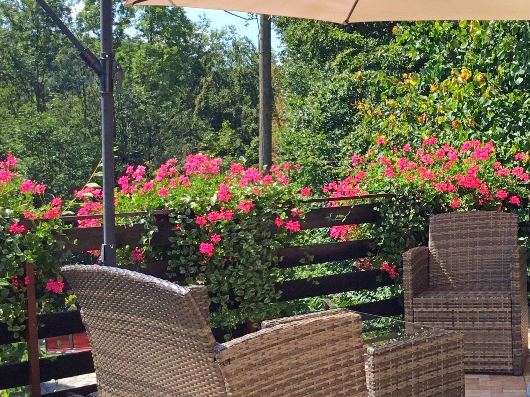 Apartment Capacity 4