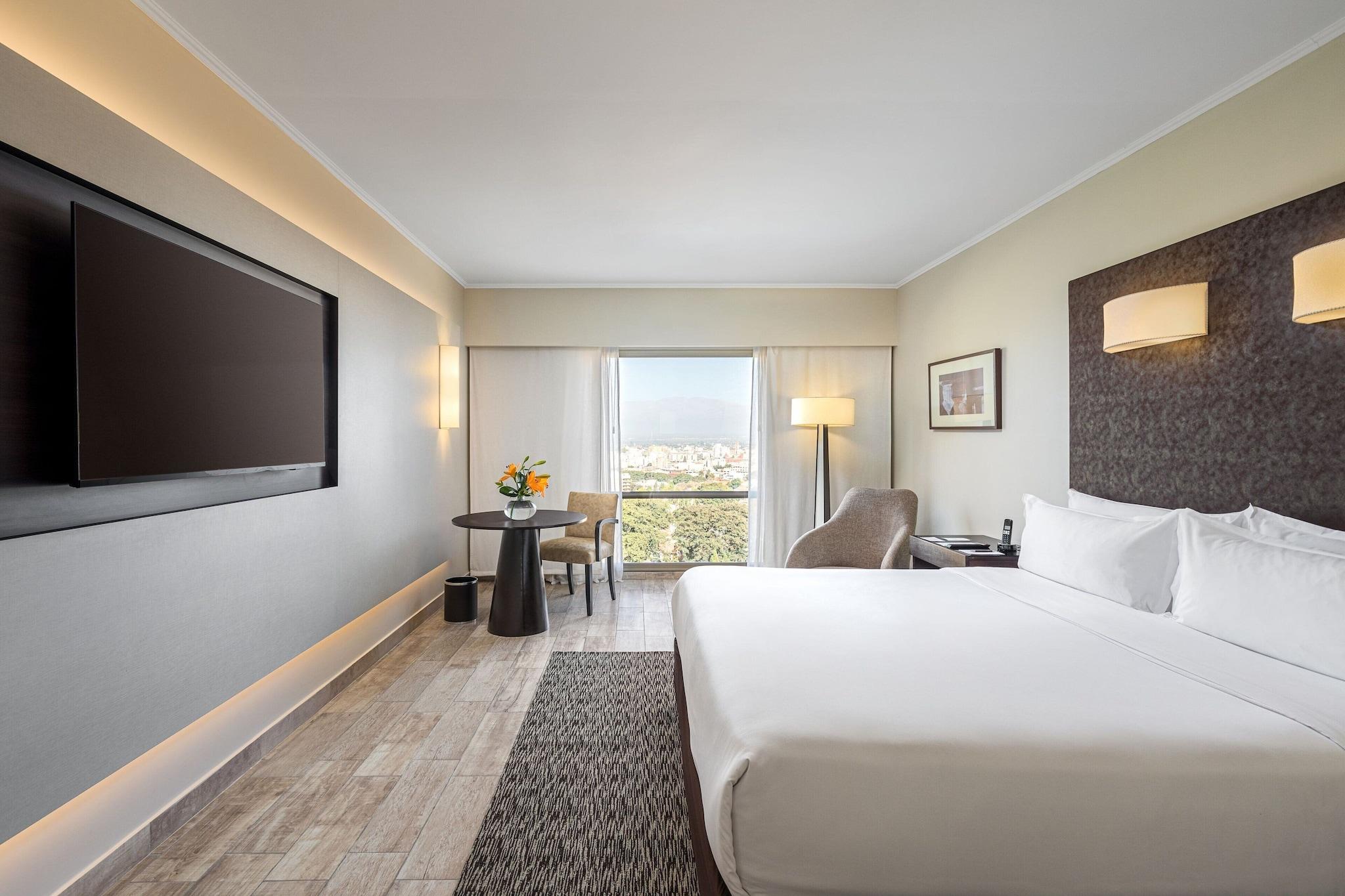 Double City View King Bed