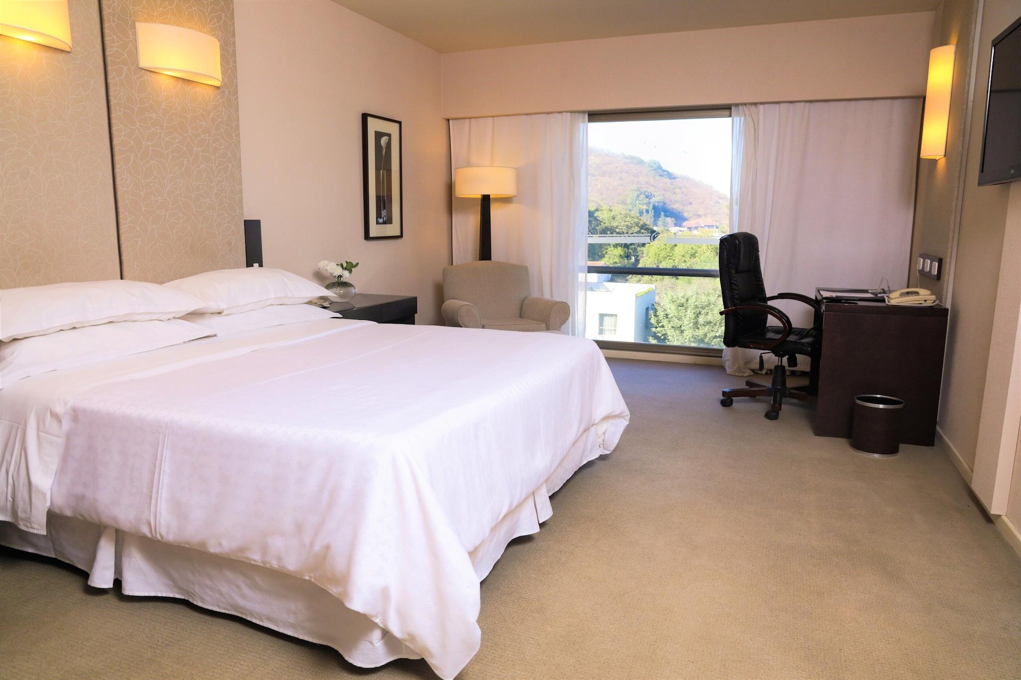 Double City View King Bed