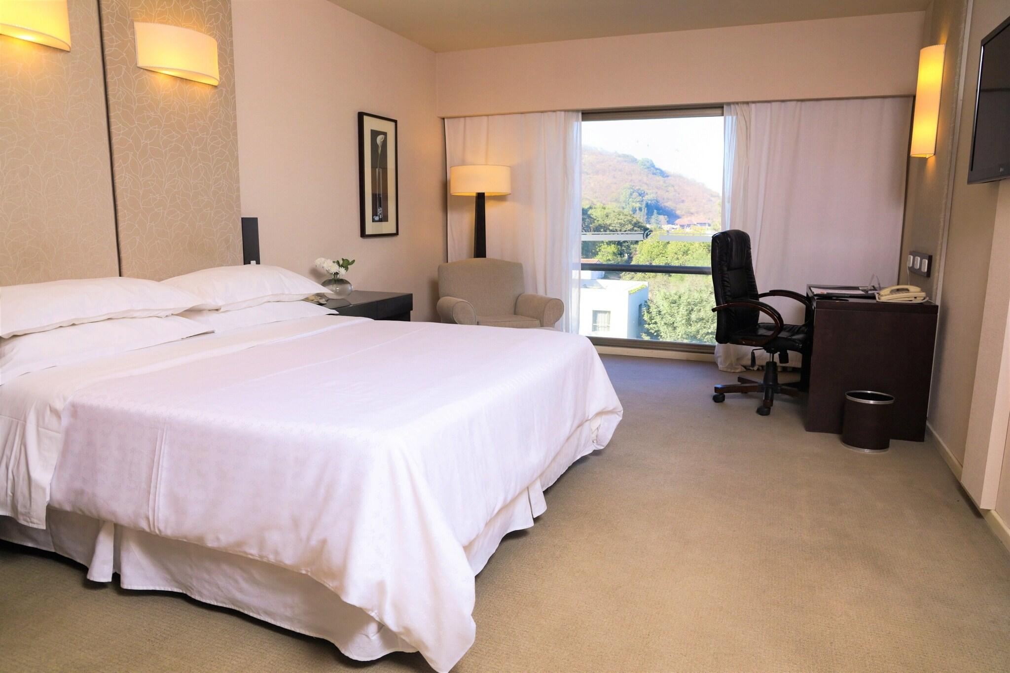 Double City View King Bed