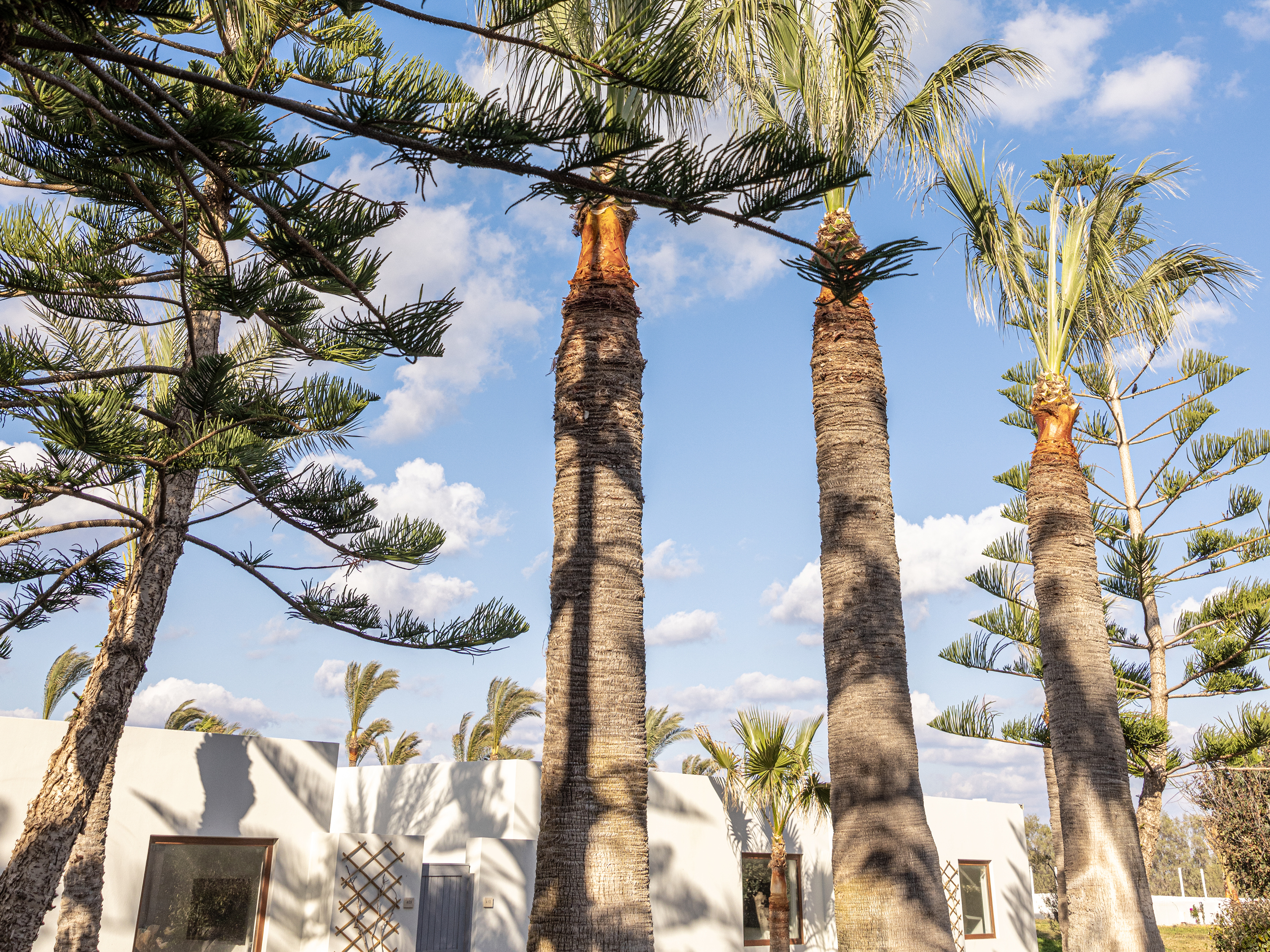 Suite Two Bedrooms with Private Pool