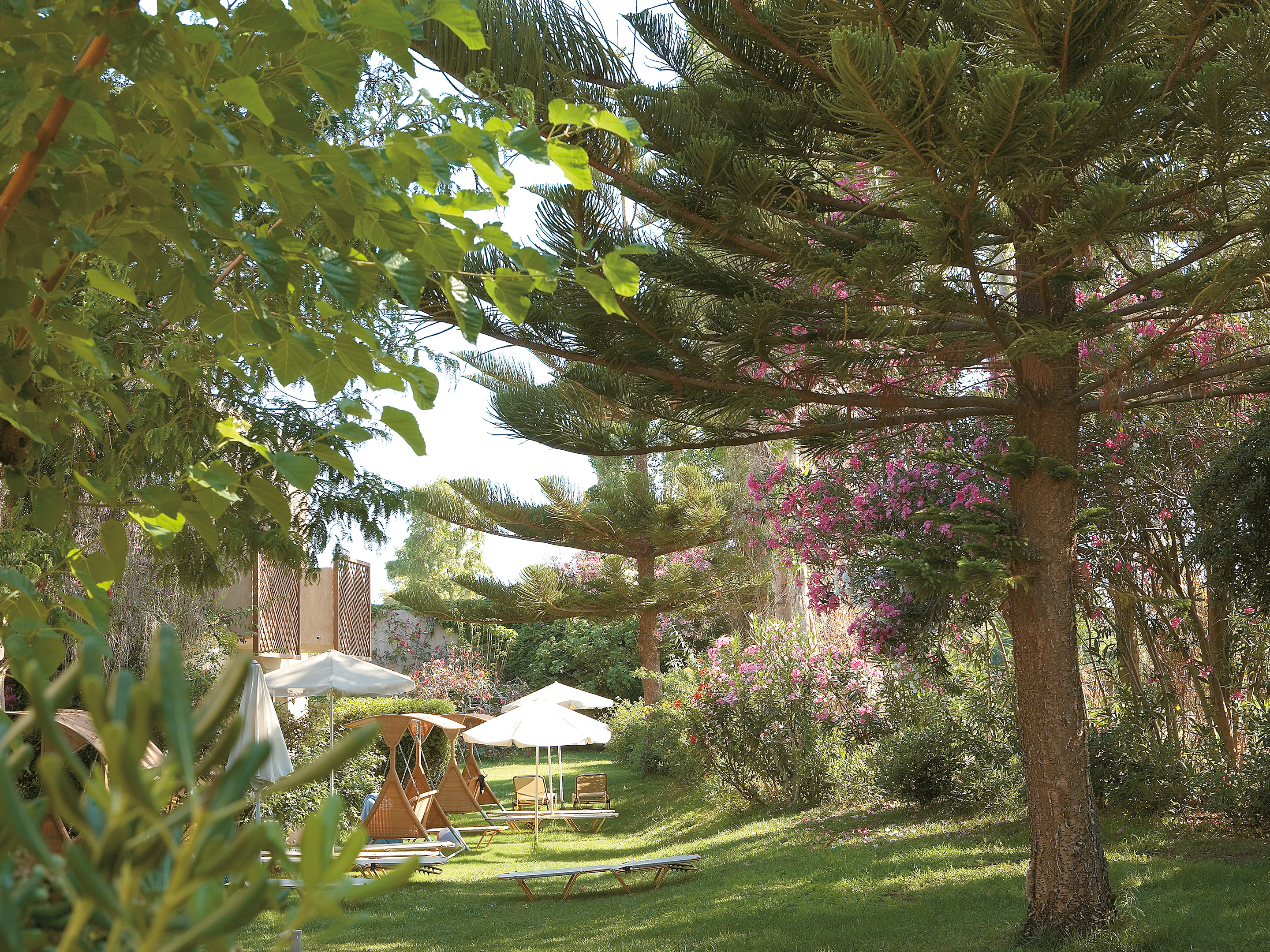 Bungalow Garden View