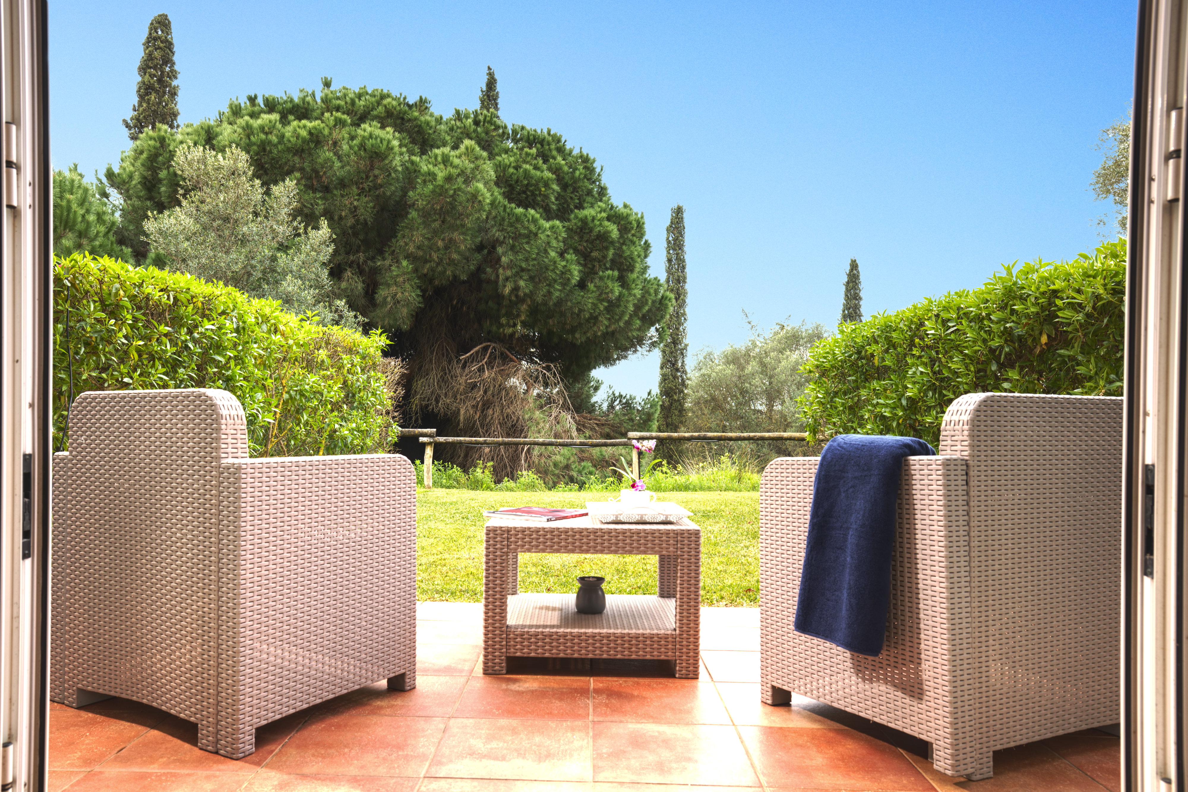 Apartment One Bedroom