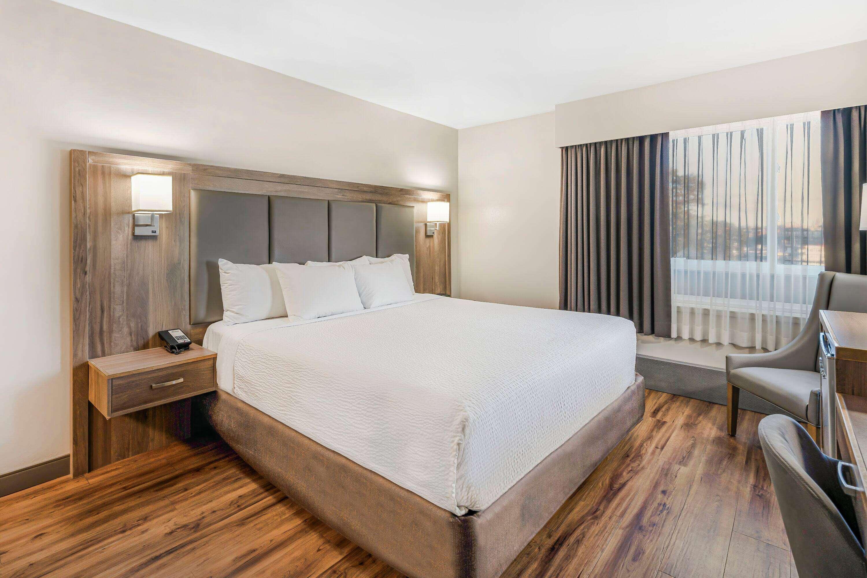 Double King Bed Non Smoking