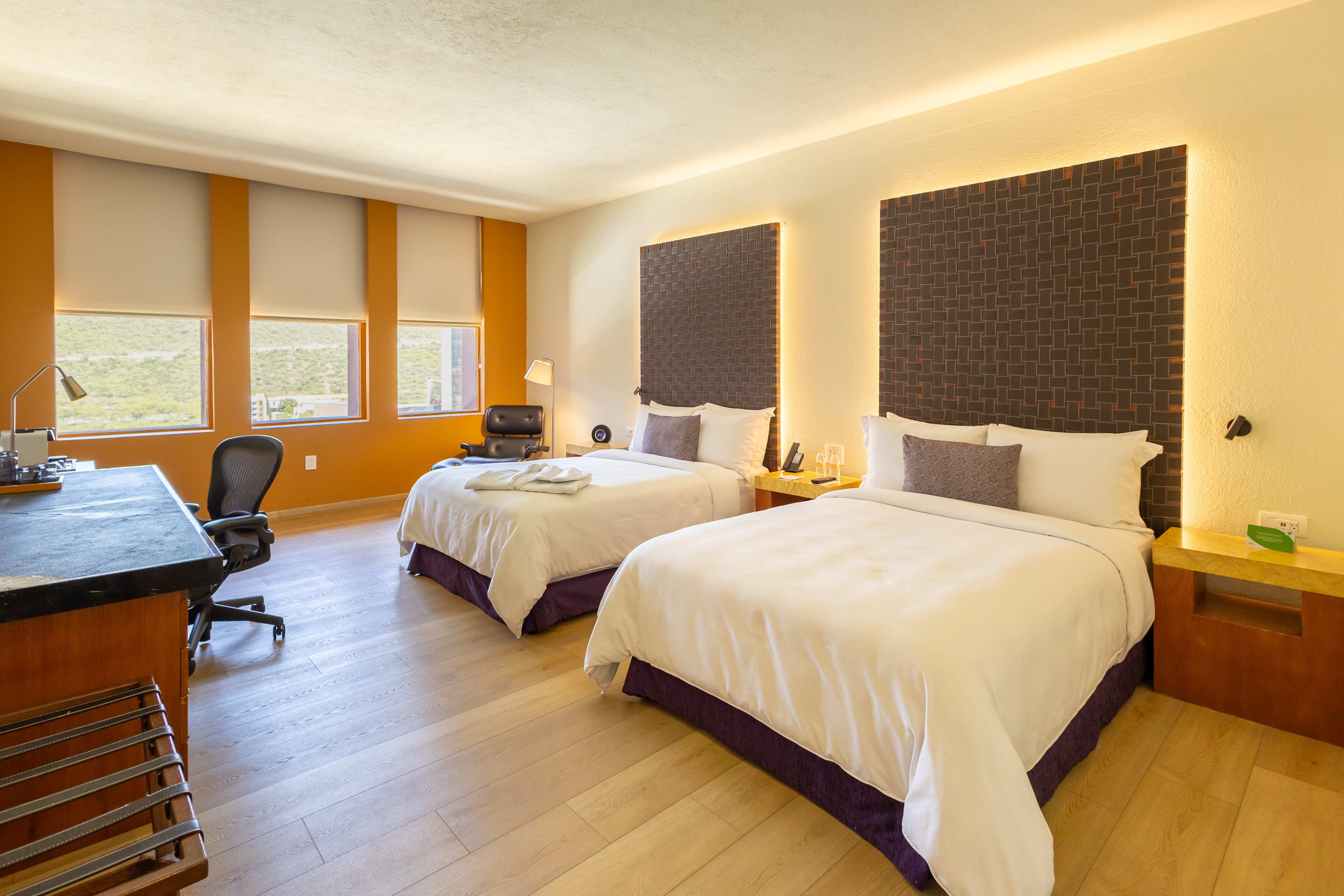 Double or Twin Superior