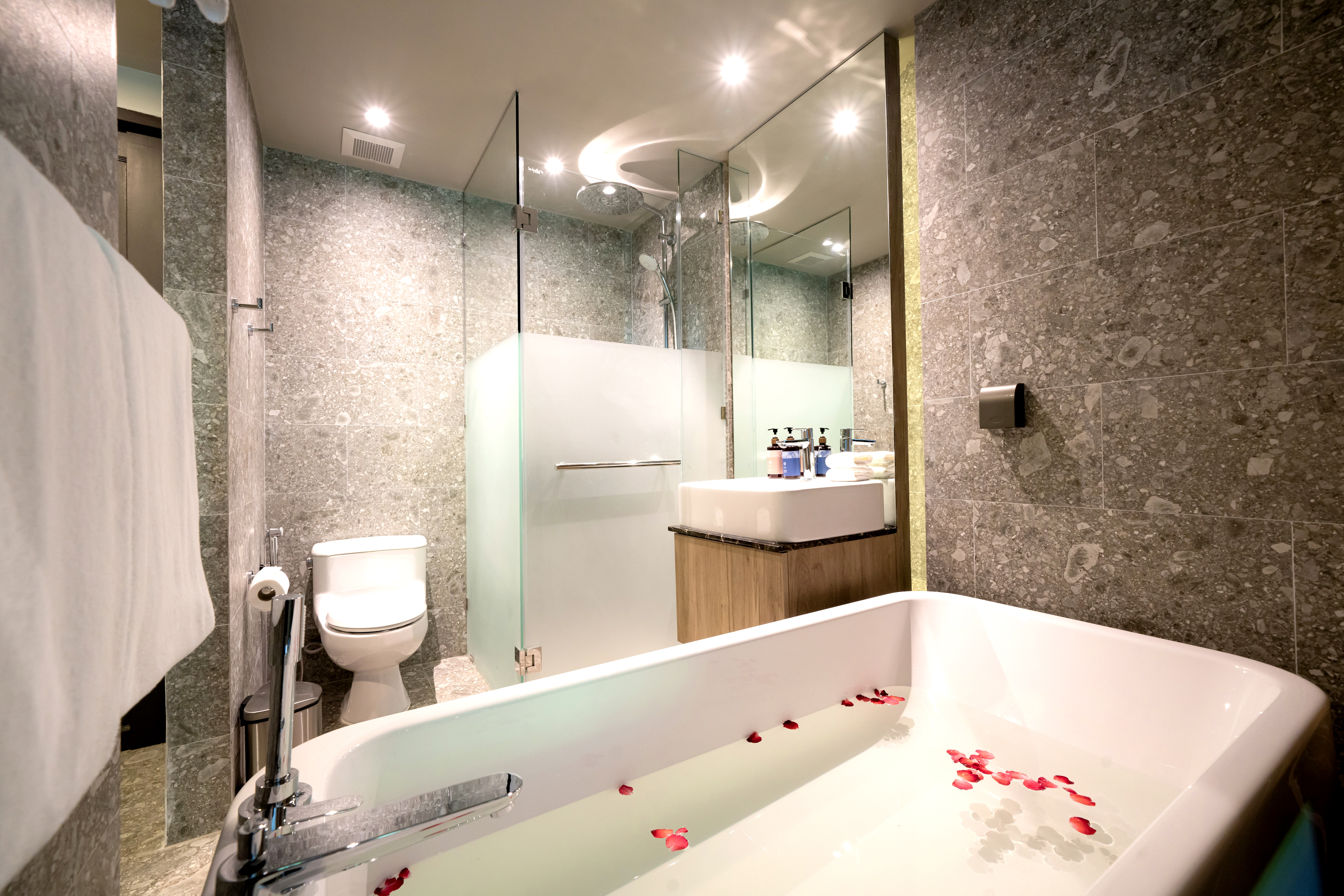 Double or Twin Deluxe