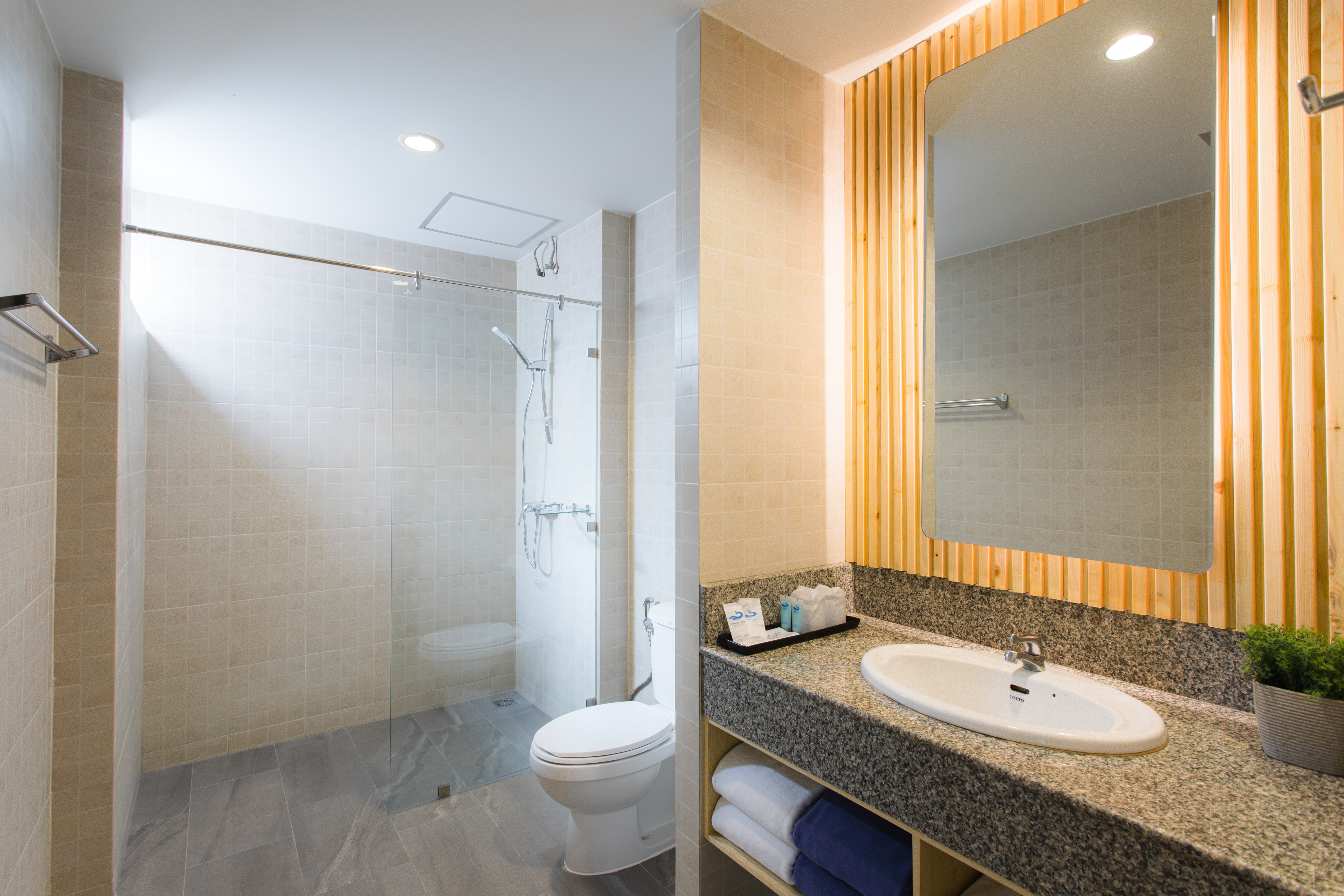 Double or Twin Superior