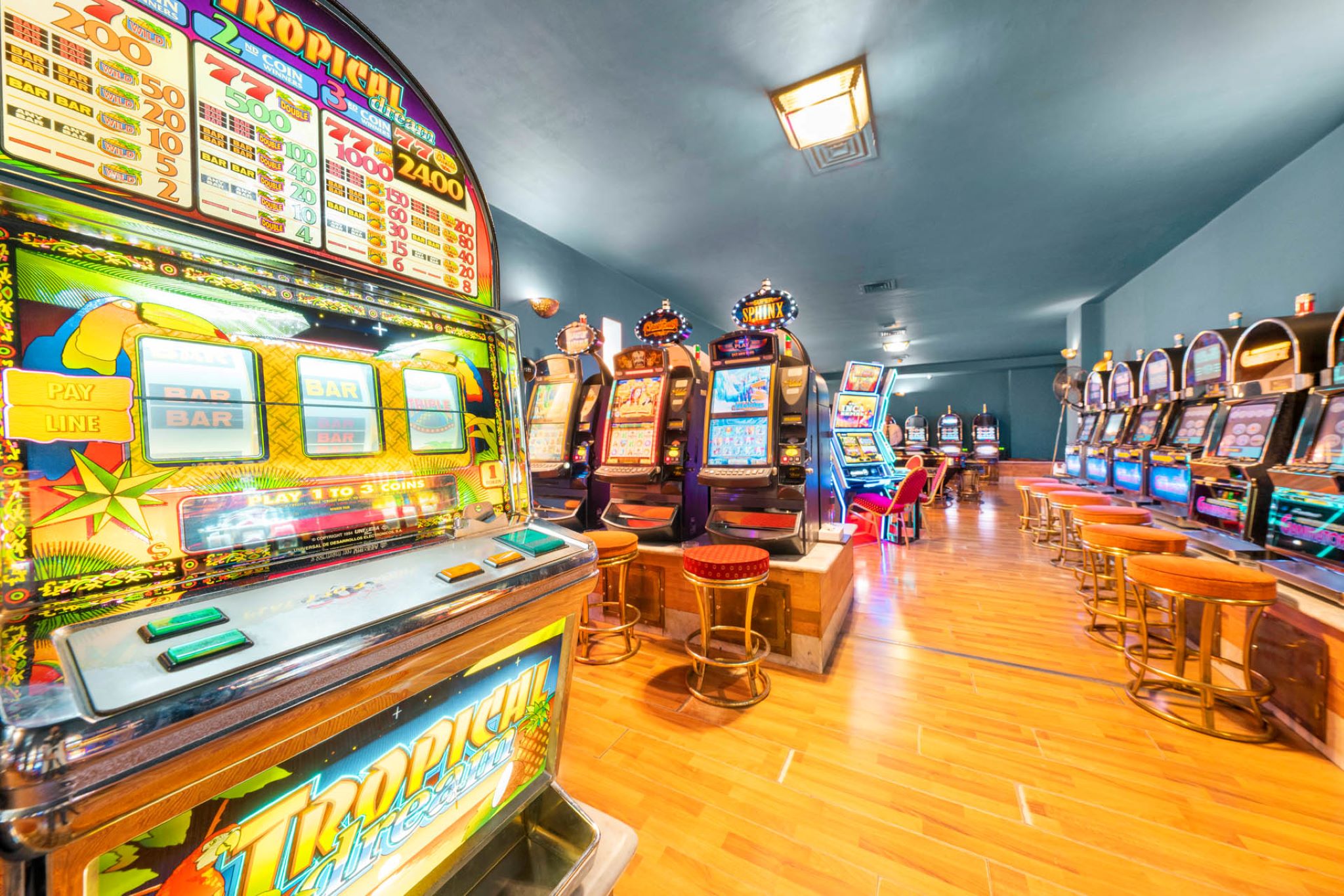 Sports and Entertainment