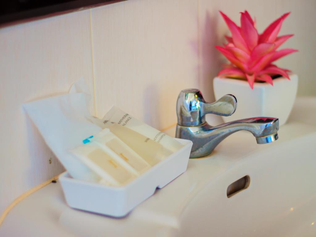 Double or Twin Superior