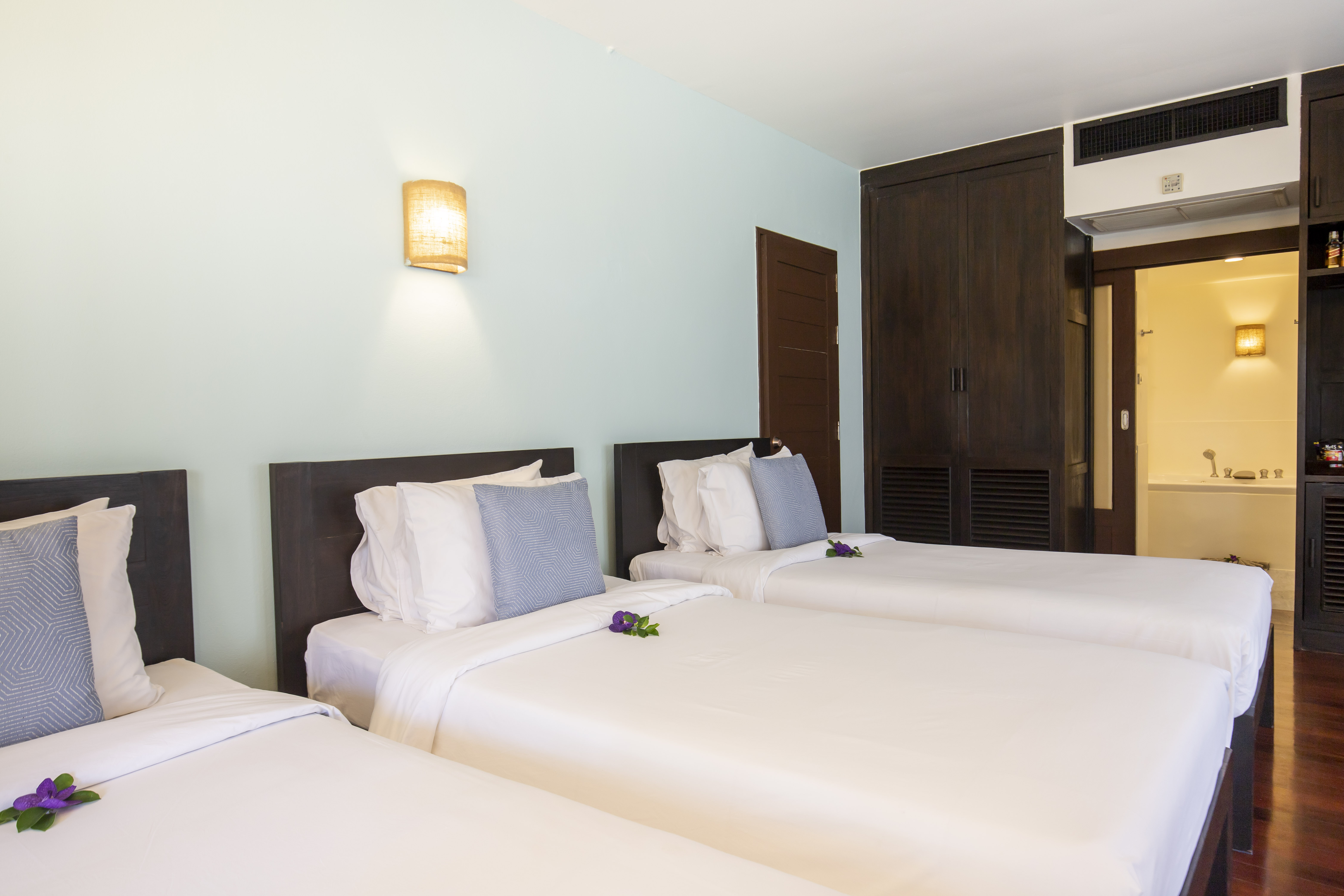 Double or Twin Superior