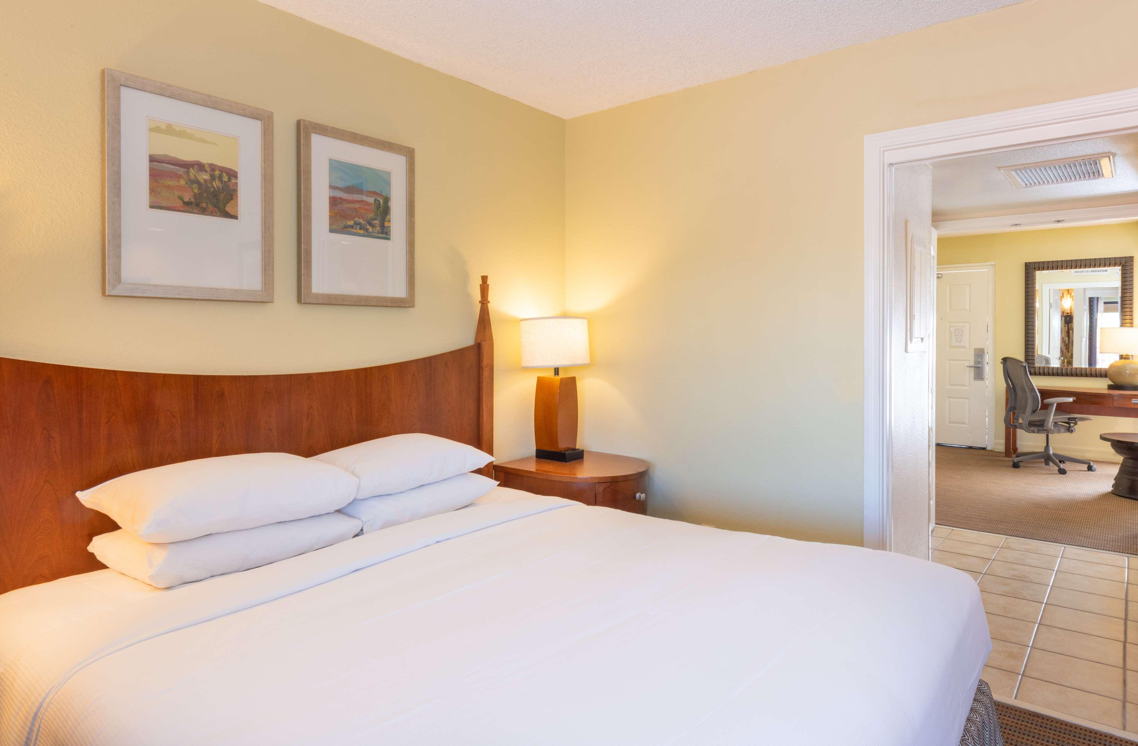 Suite King Bed One Bedroom 