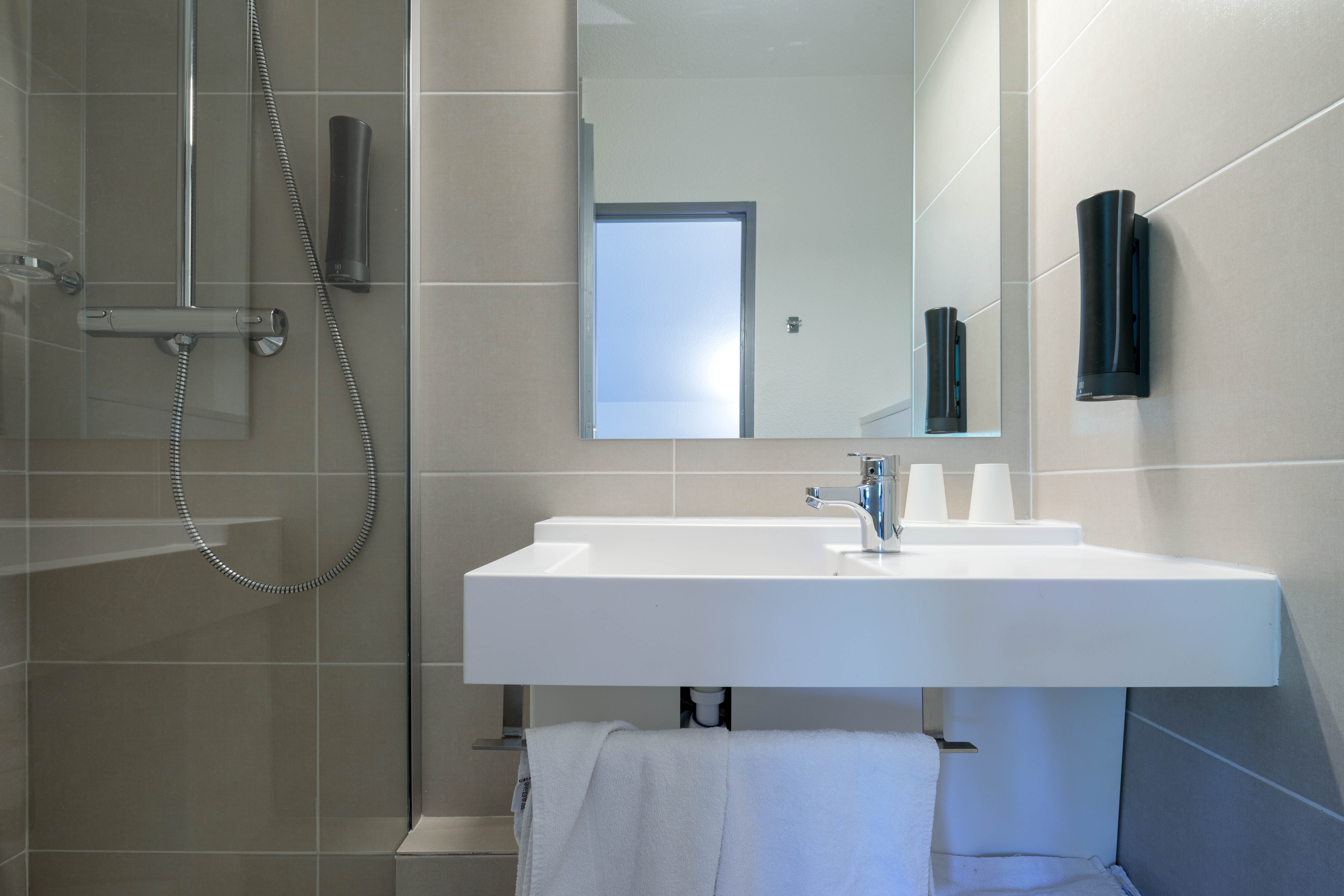 Double or Twin Standard