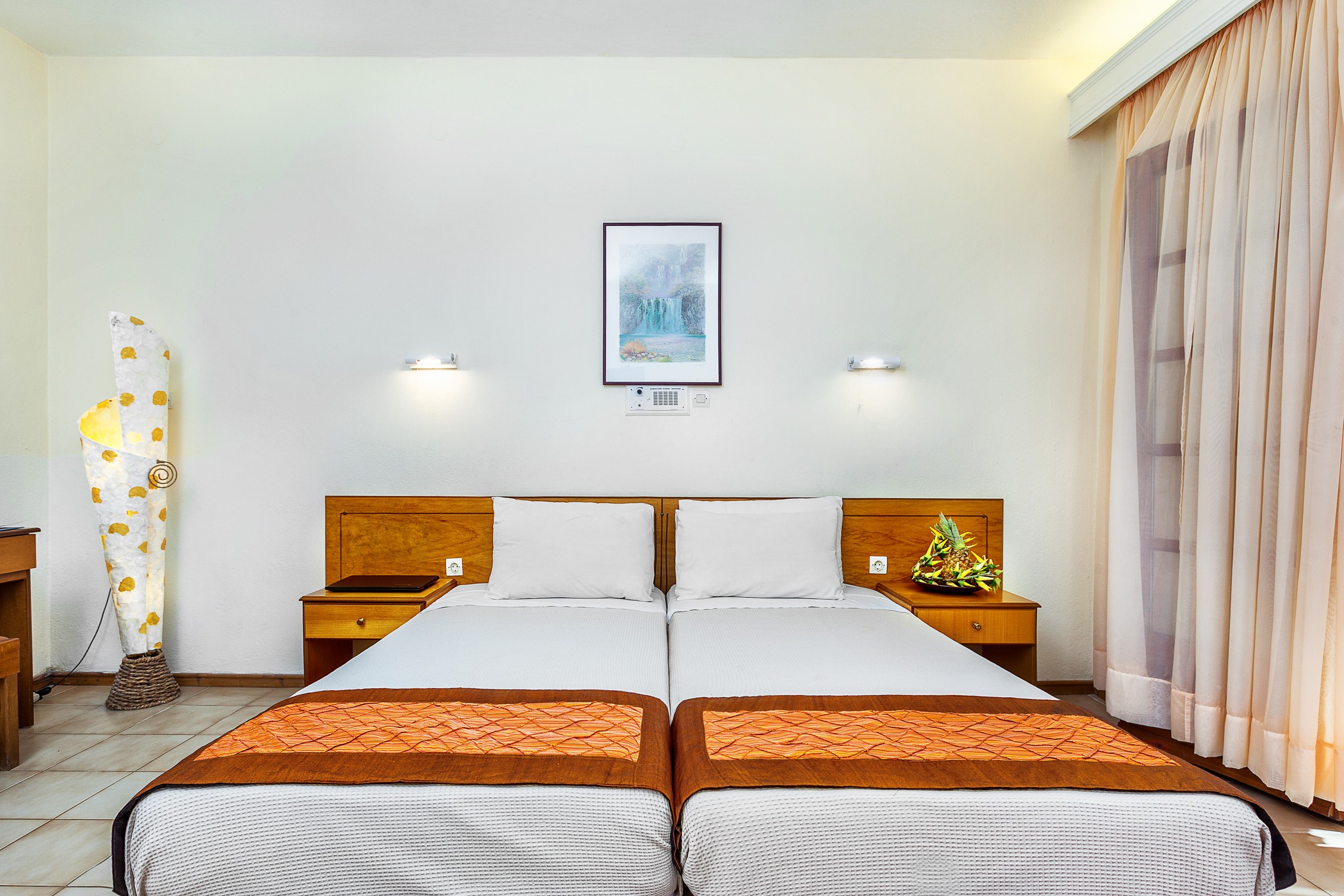 Double or Twin Economy