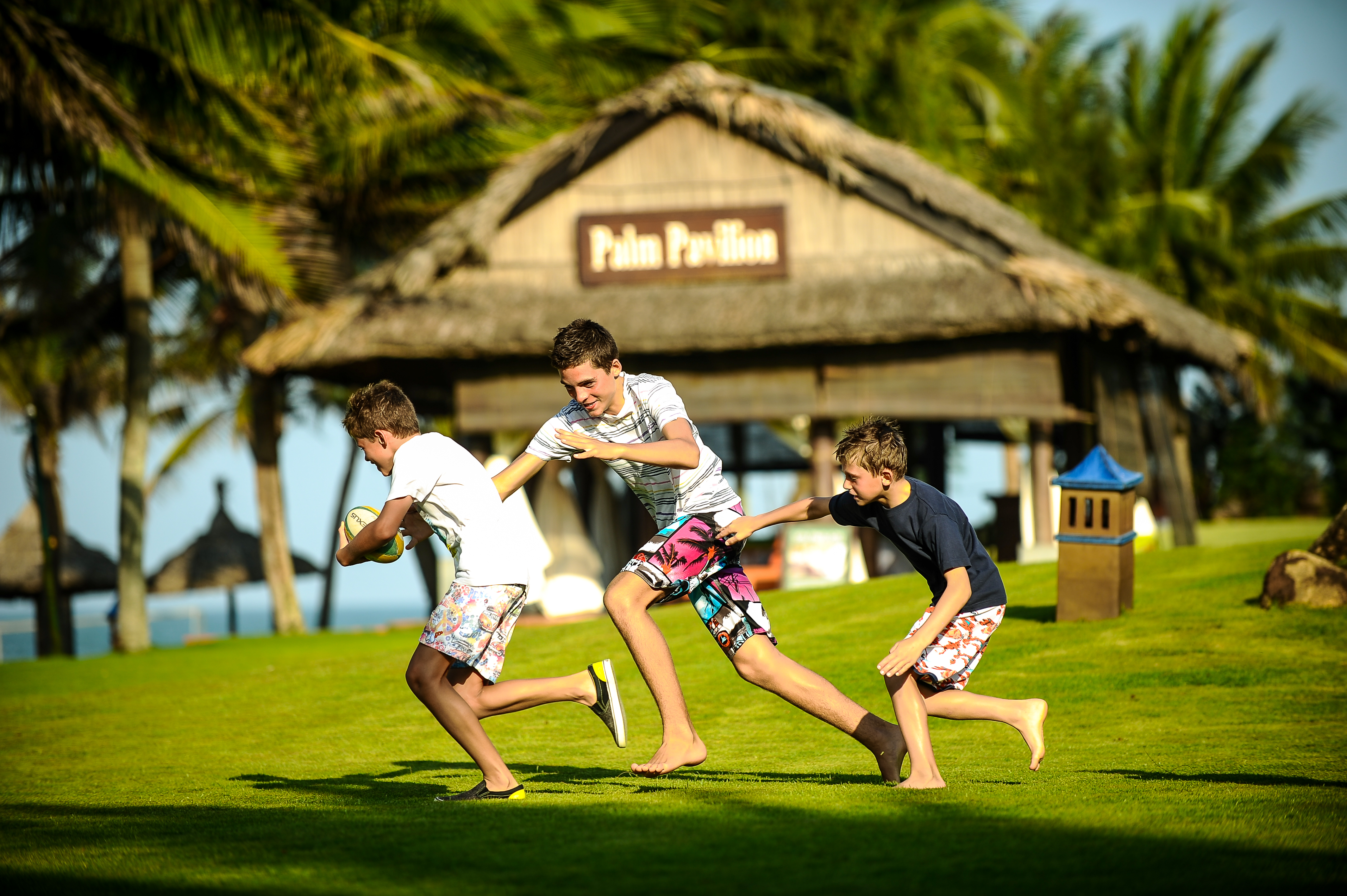 Sports and Entertainment