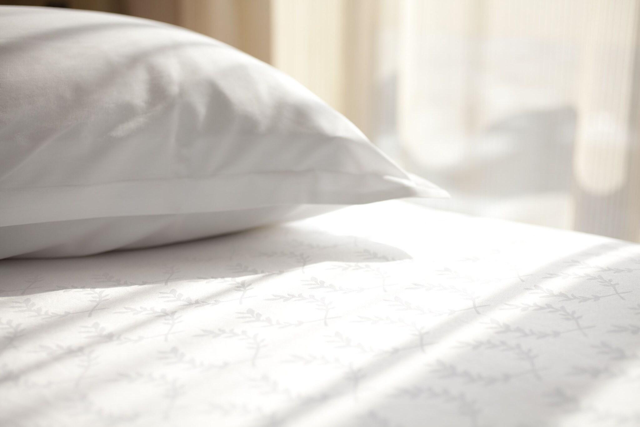 Studio Superior King Bed