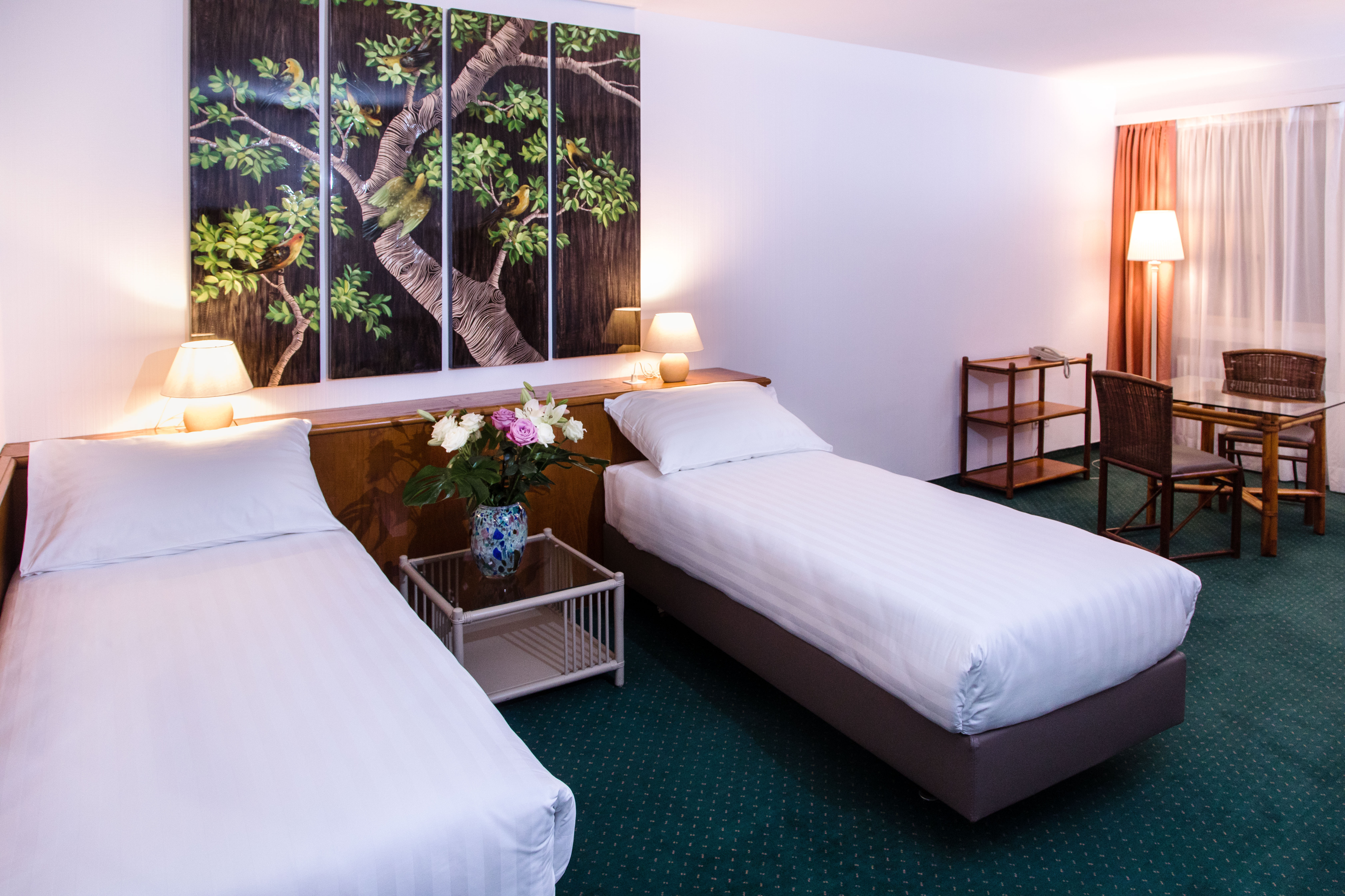 Studio Capacity 2 One Bedroom