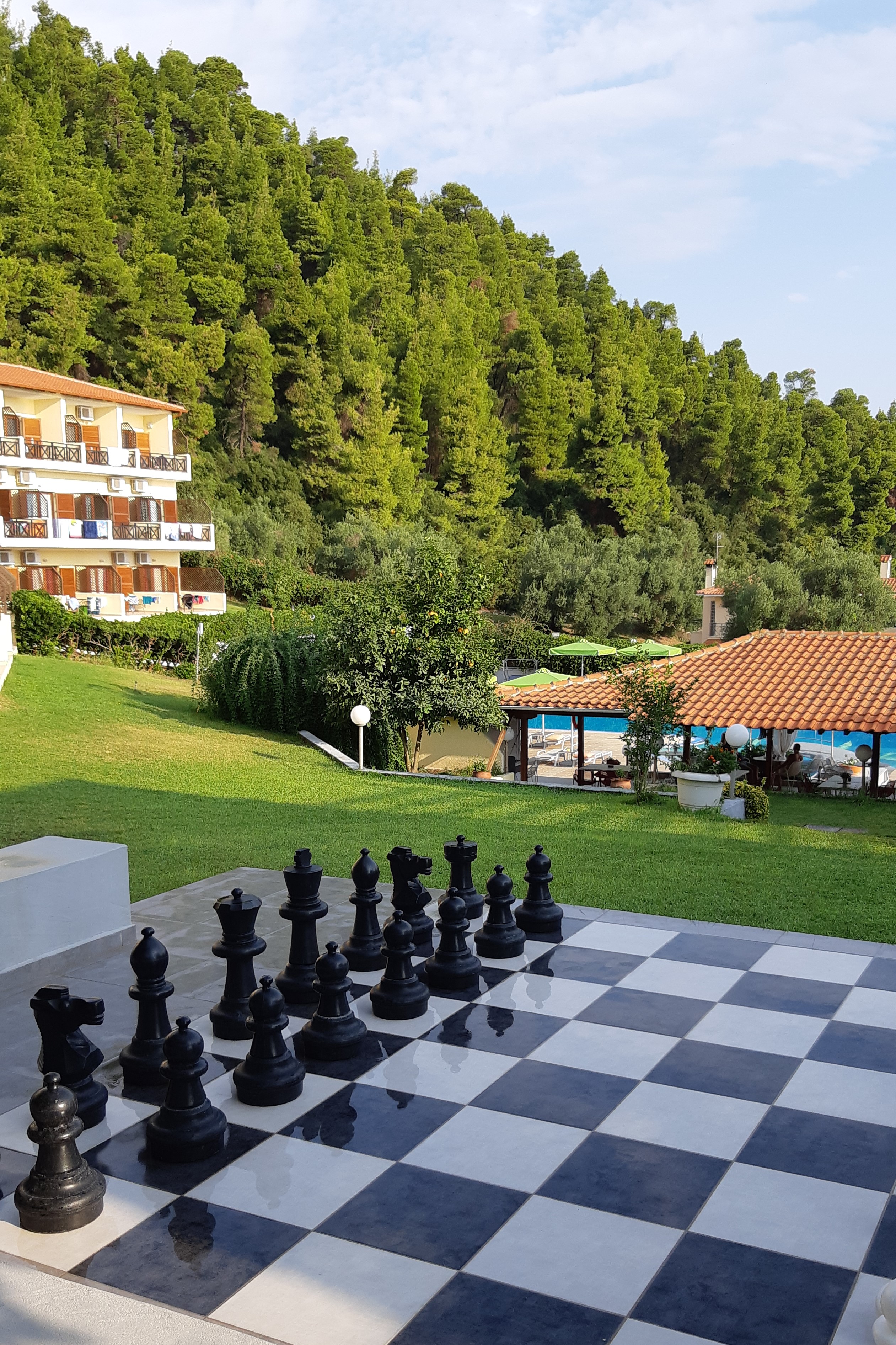 Sports and Entertainment