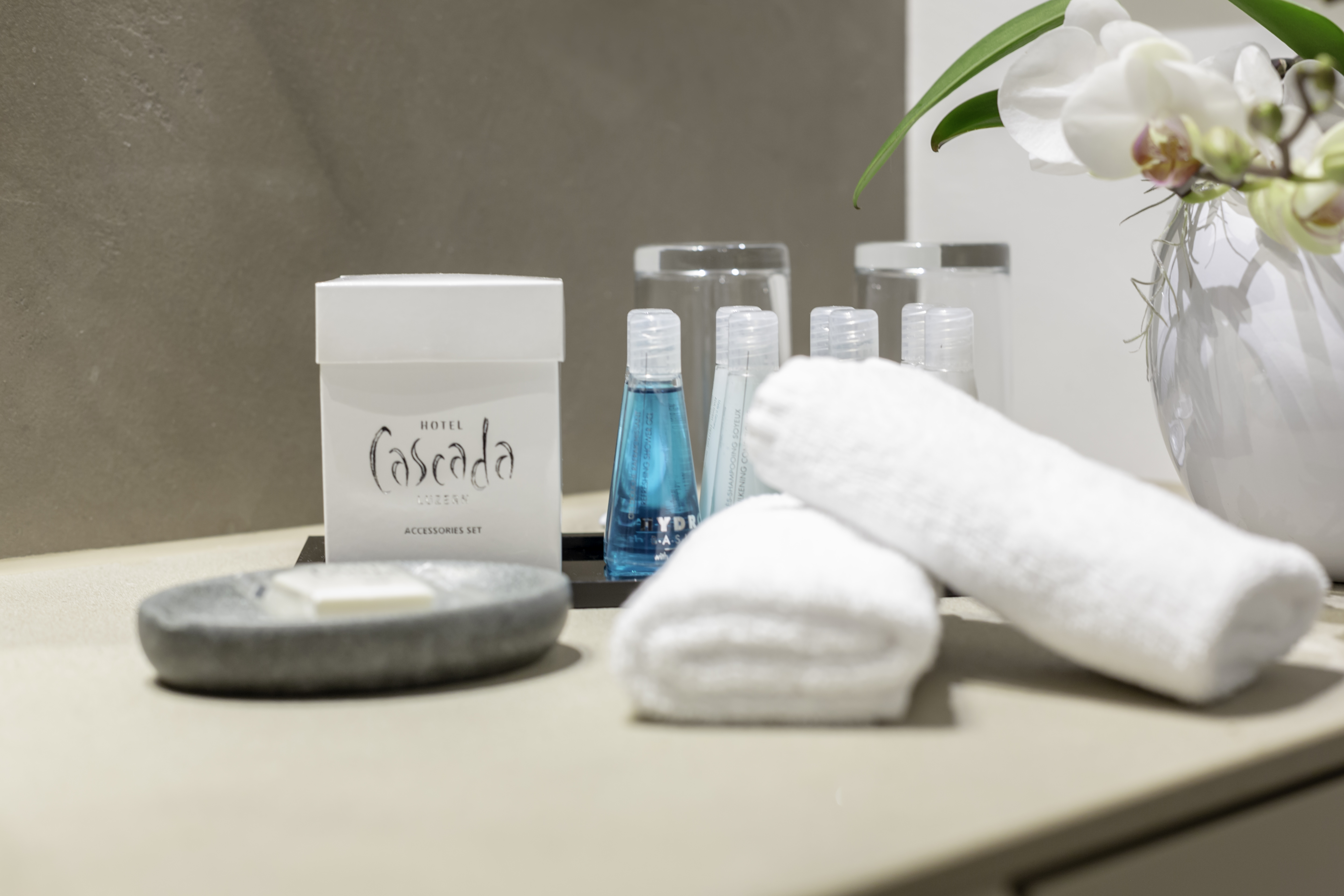 Family Room Standard