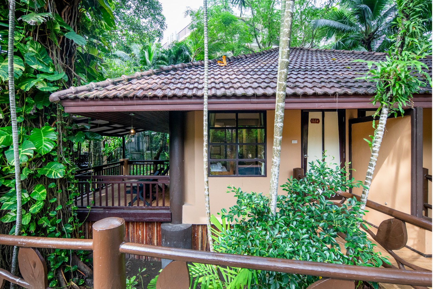 Family Room Bunk Bed
