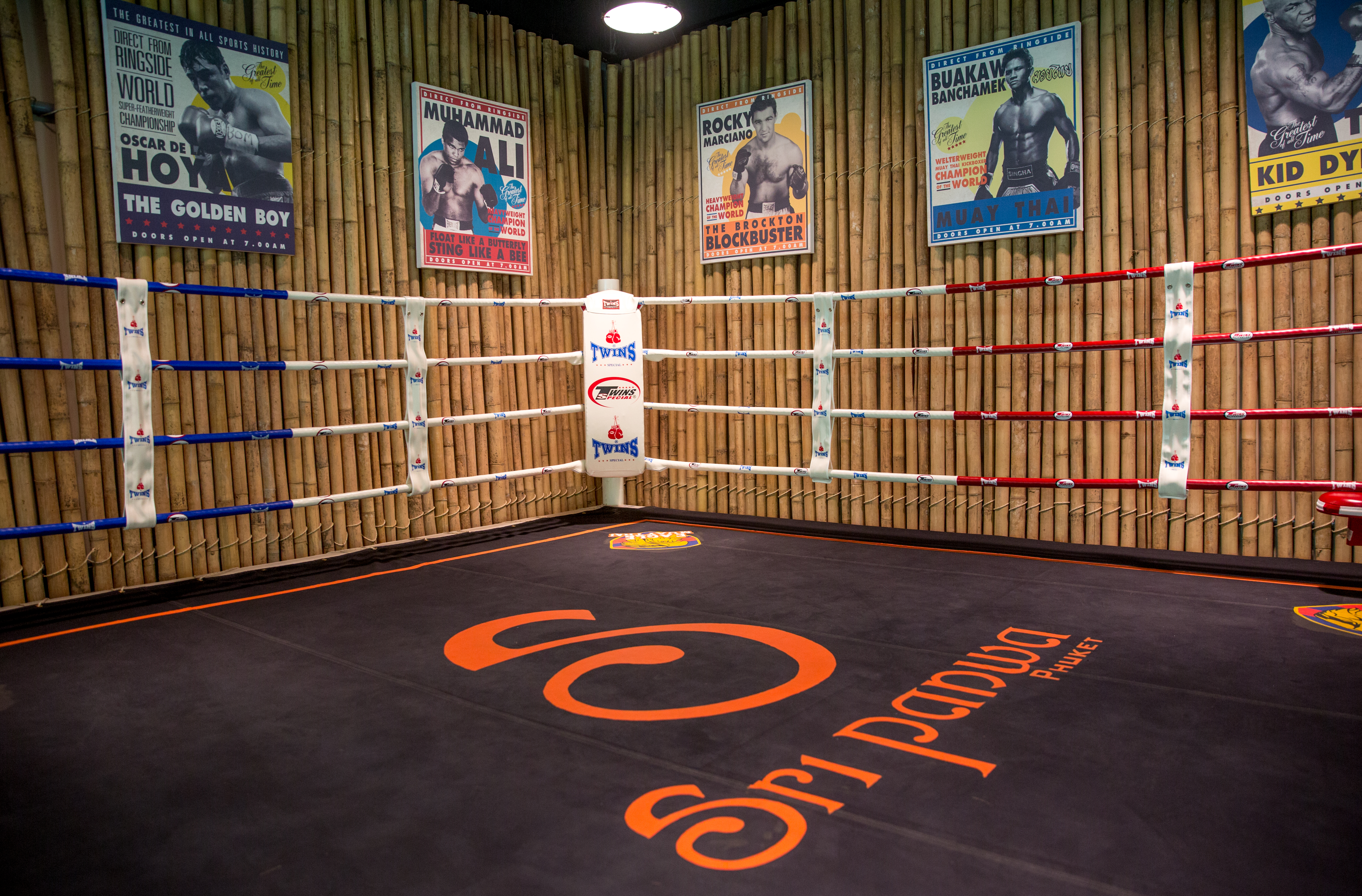 Sports and Entertainment