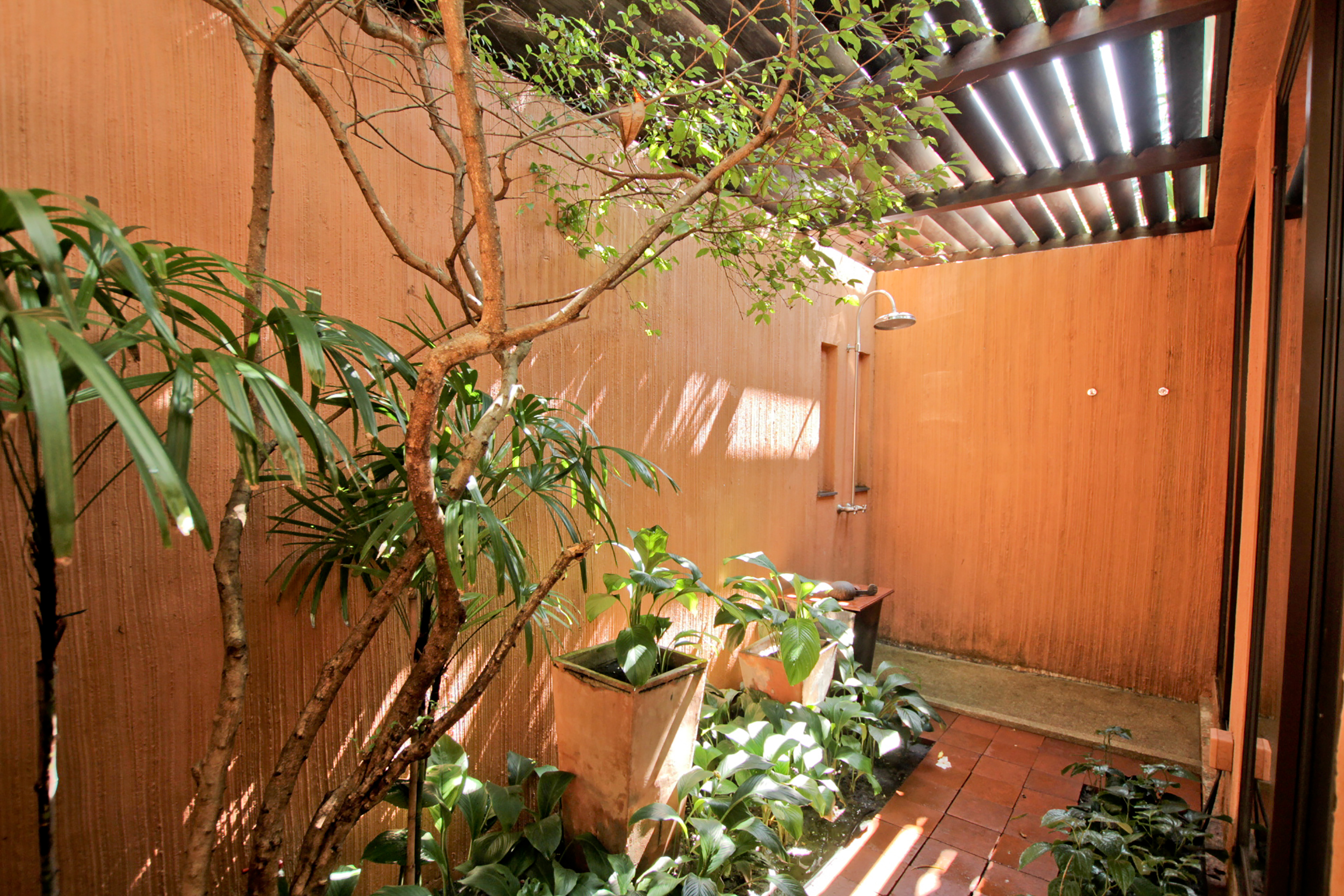 Suite Ocean View One Bedroom