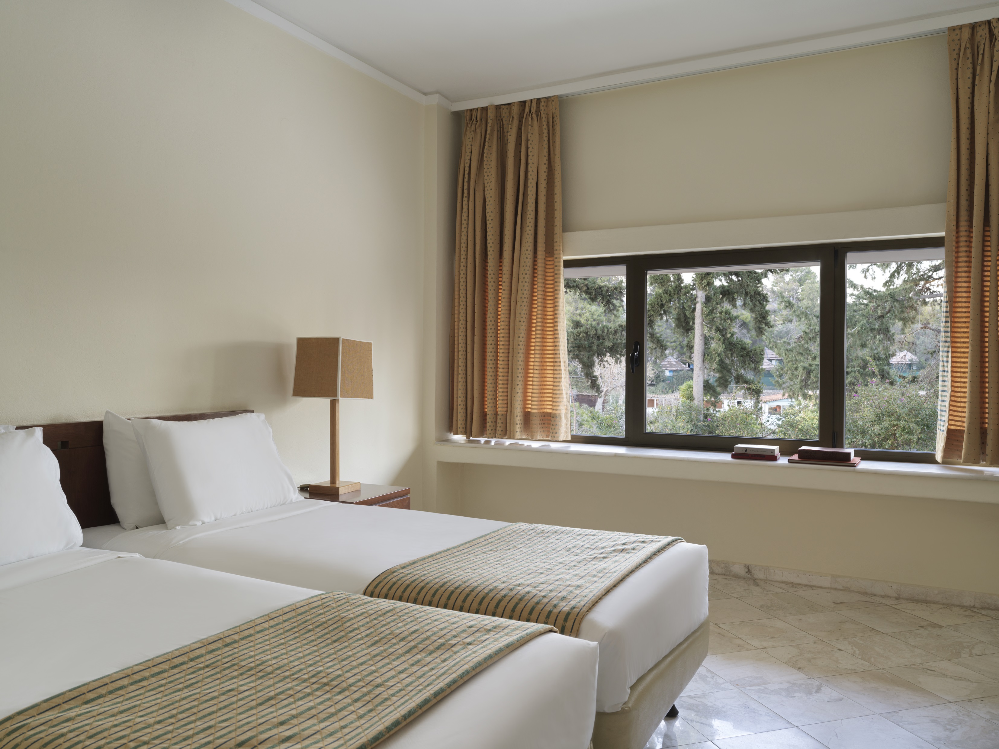 Double or Twin Economy