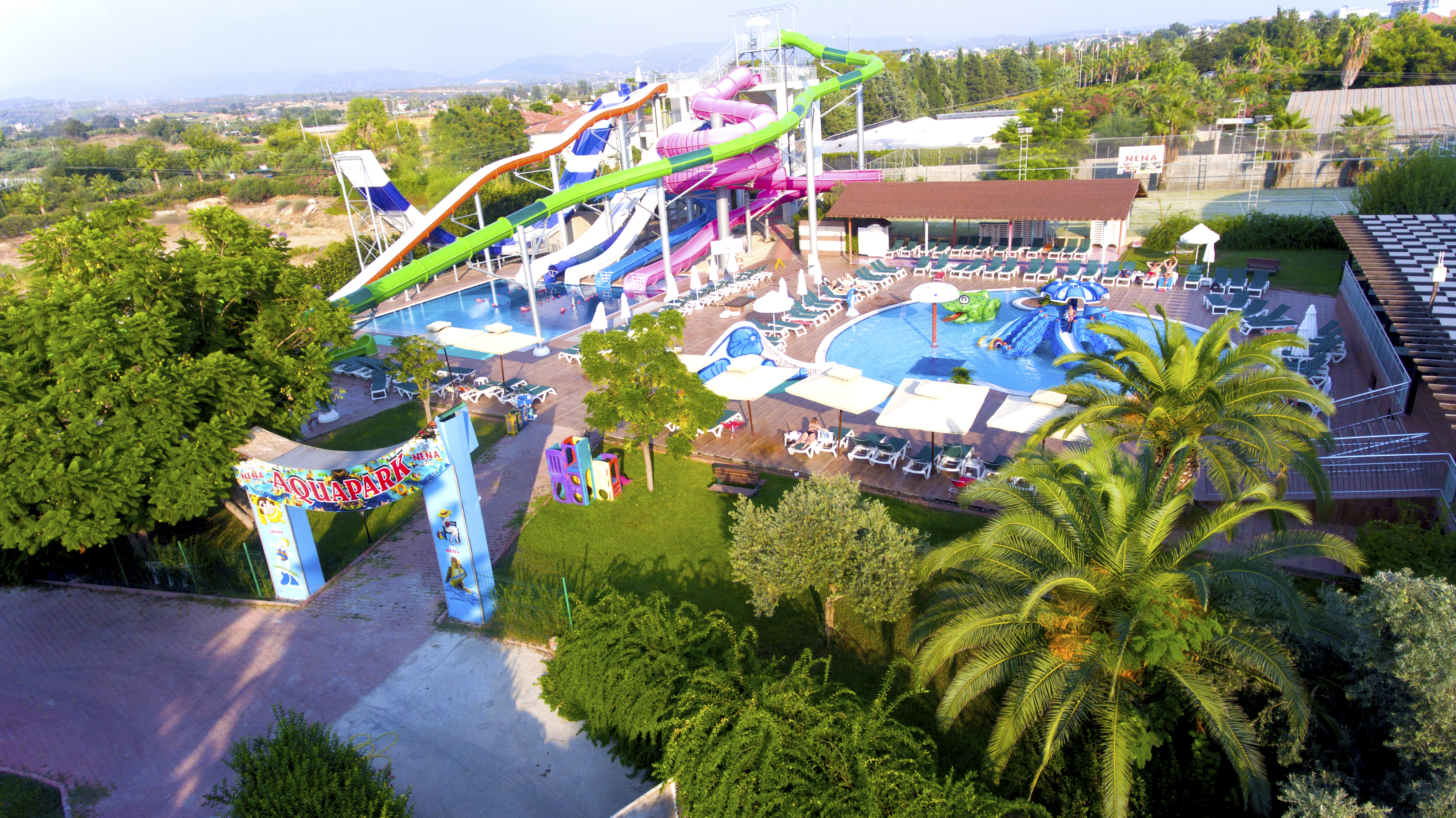 Sports and Entertainment